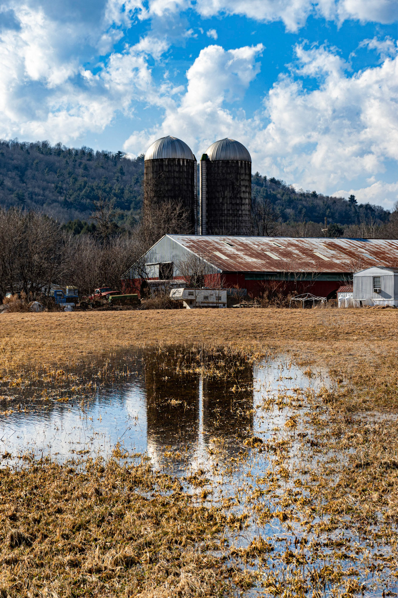 Reflection of Silos in Puddle
