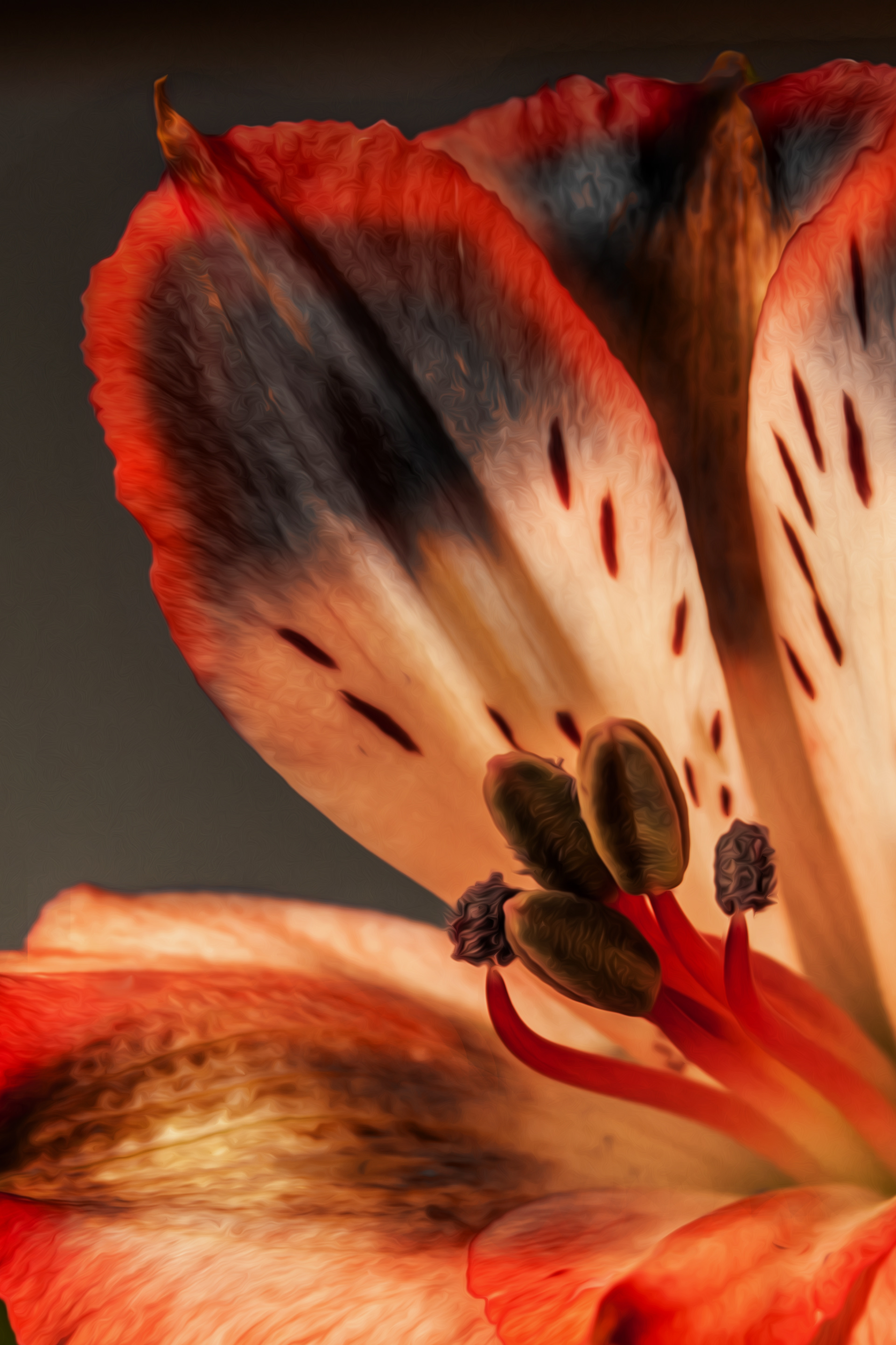 Red Rimmed Petals