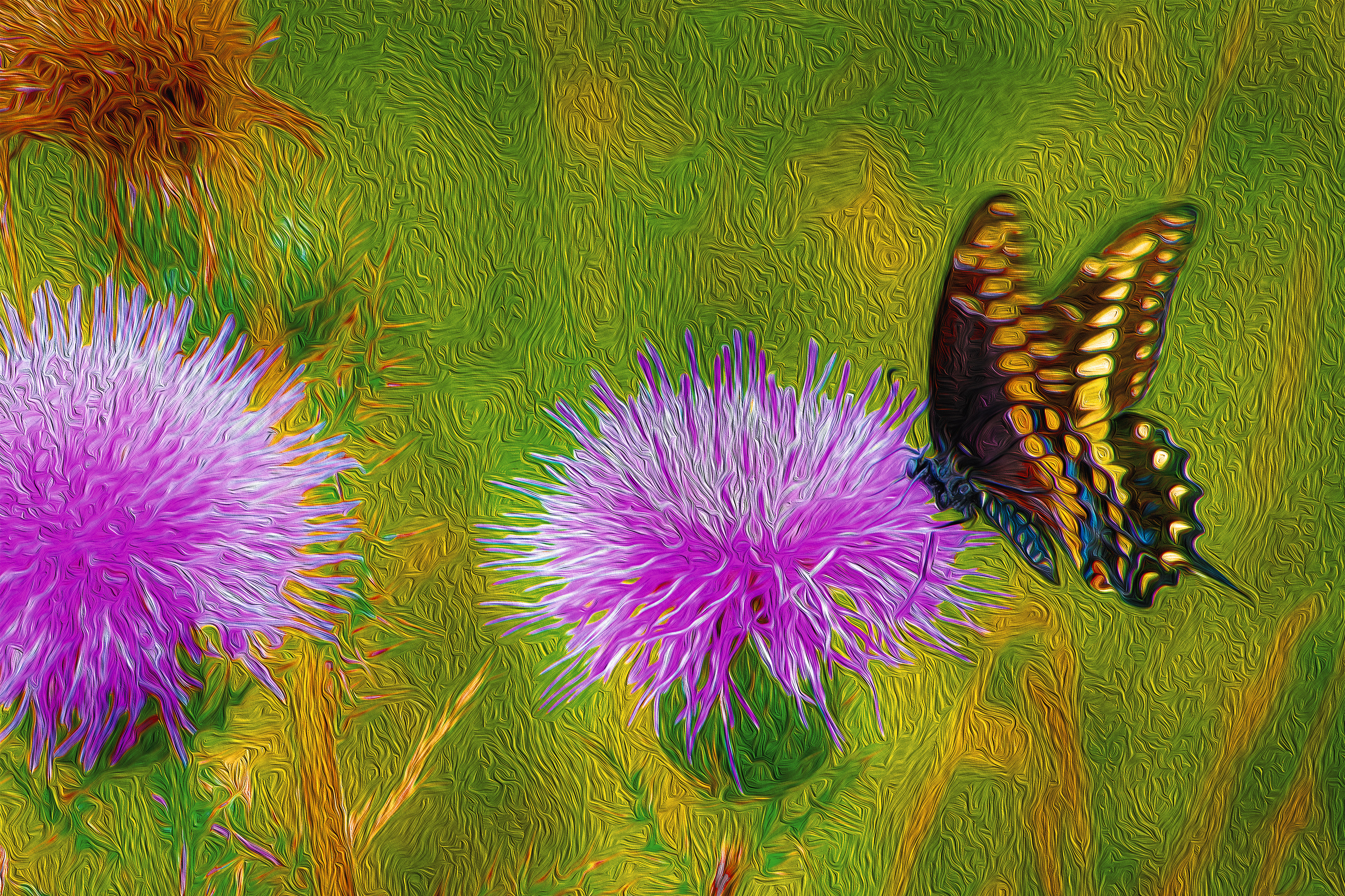 Butterfly Two Thistles