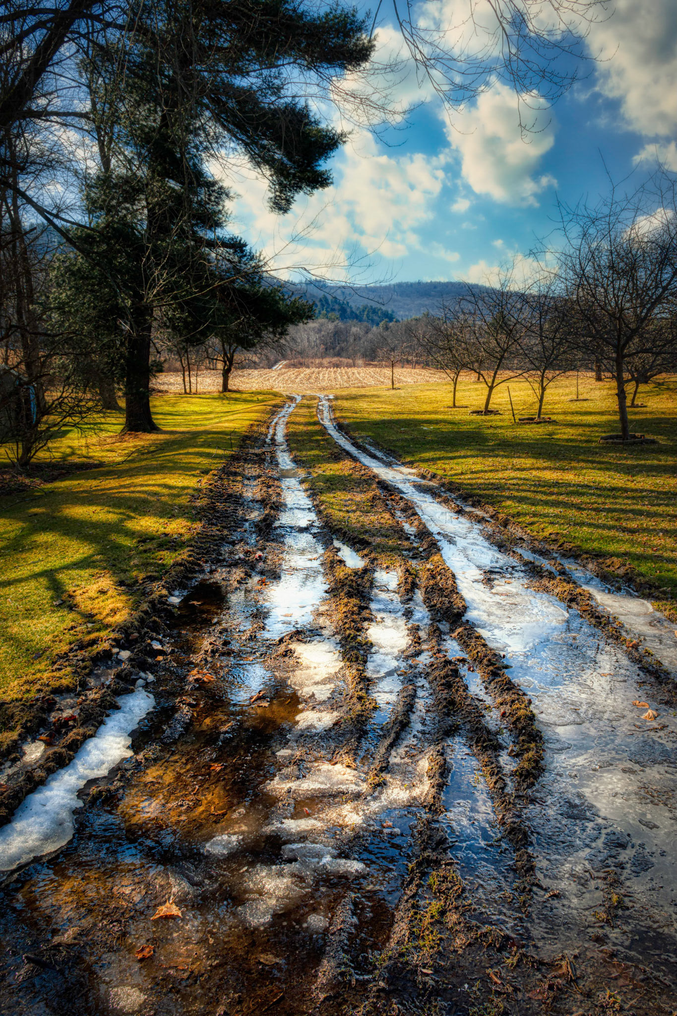 Tire Tracks in Muddy Road with Clouds