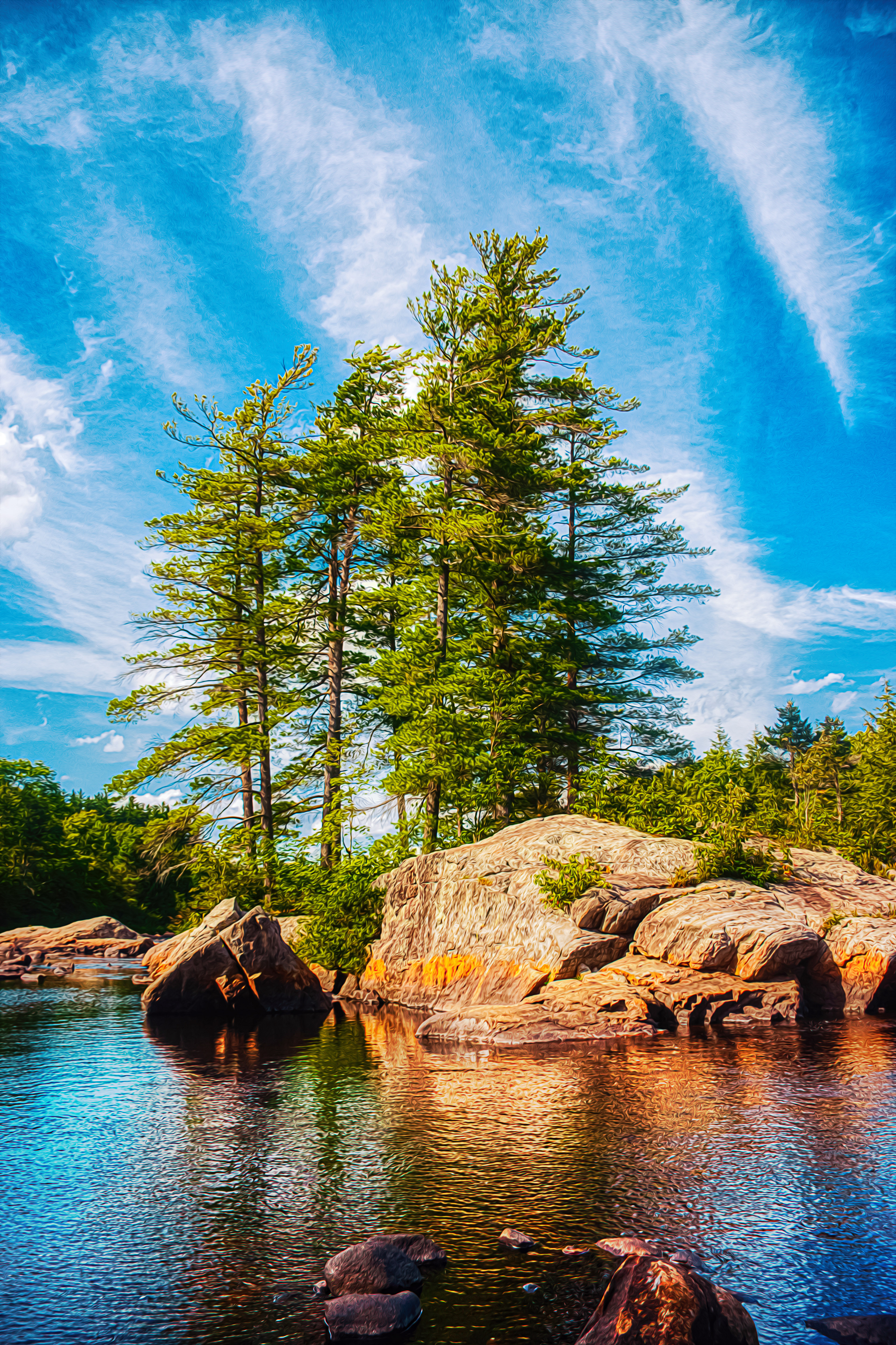 Moose River #1