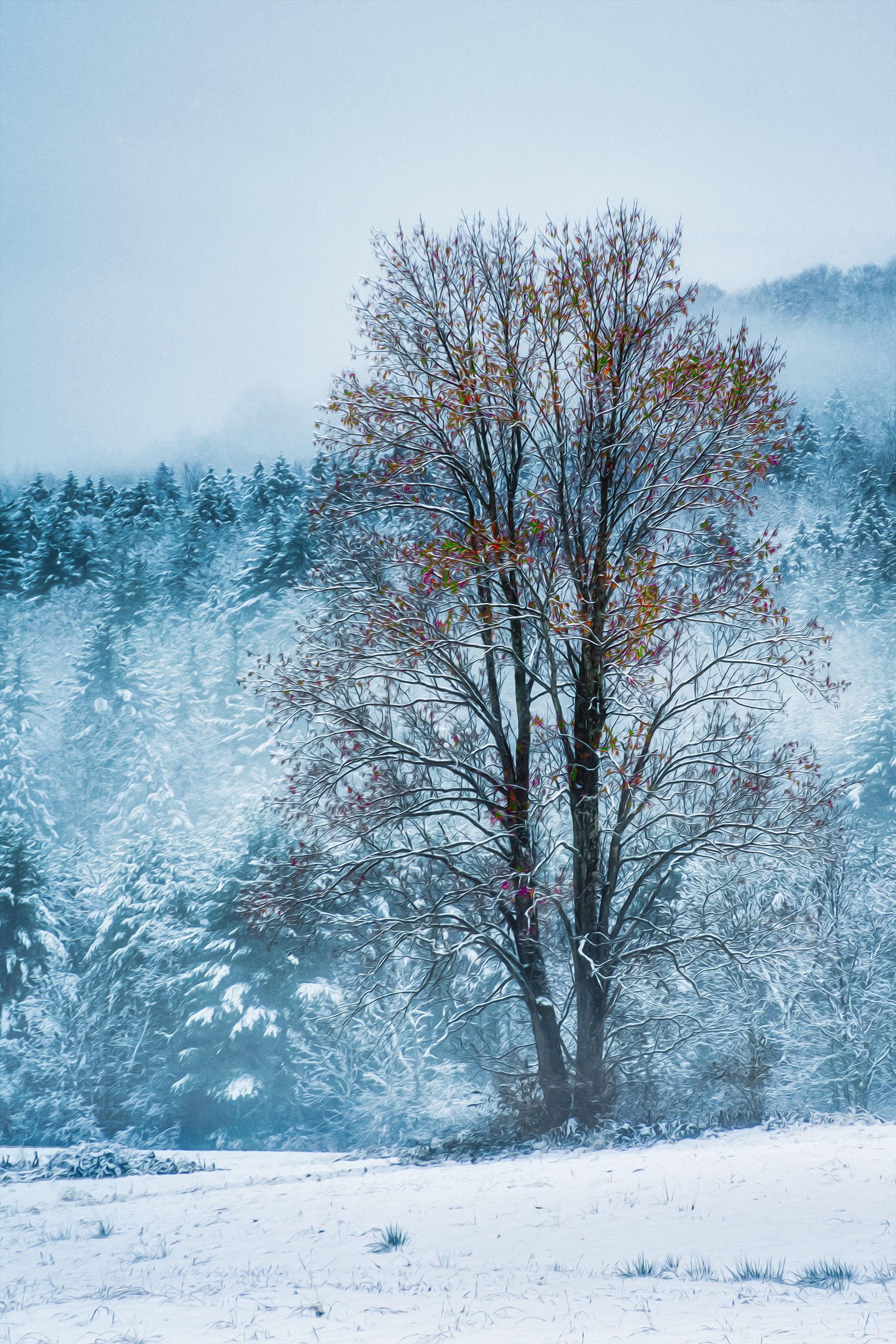 Tree Snow and Fog