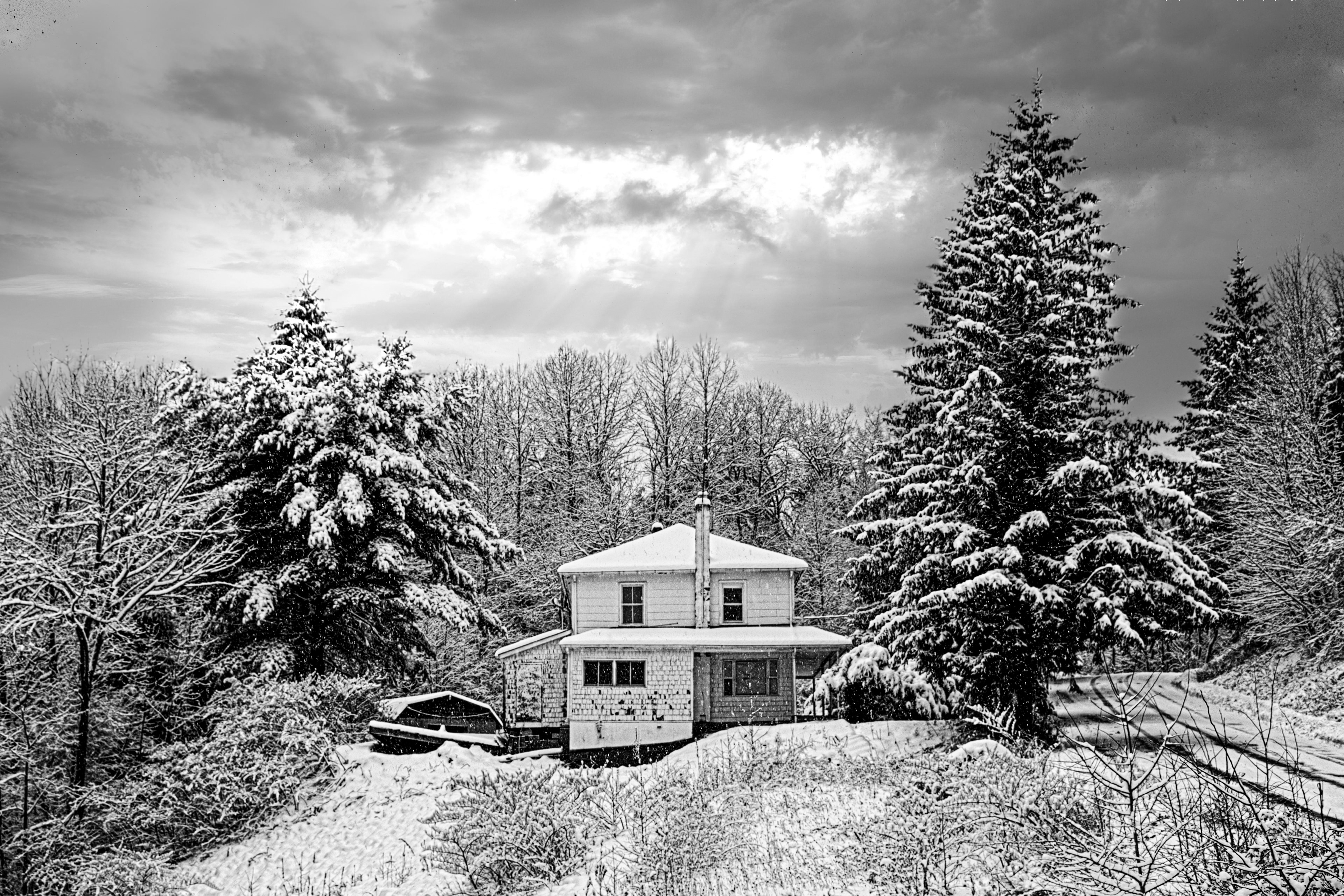 Trees House and Snow