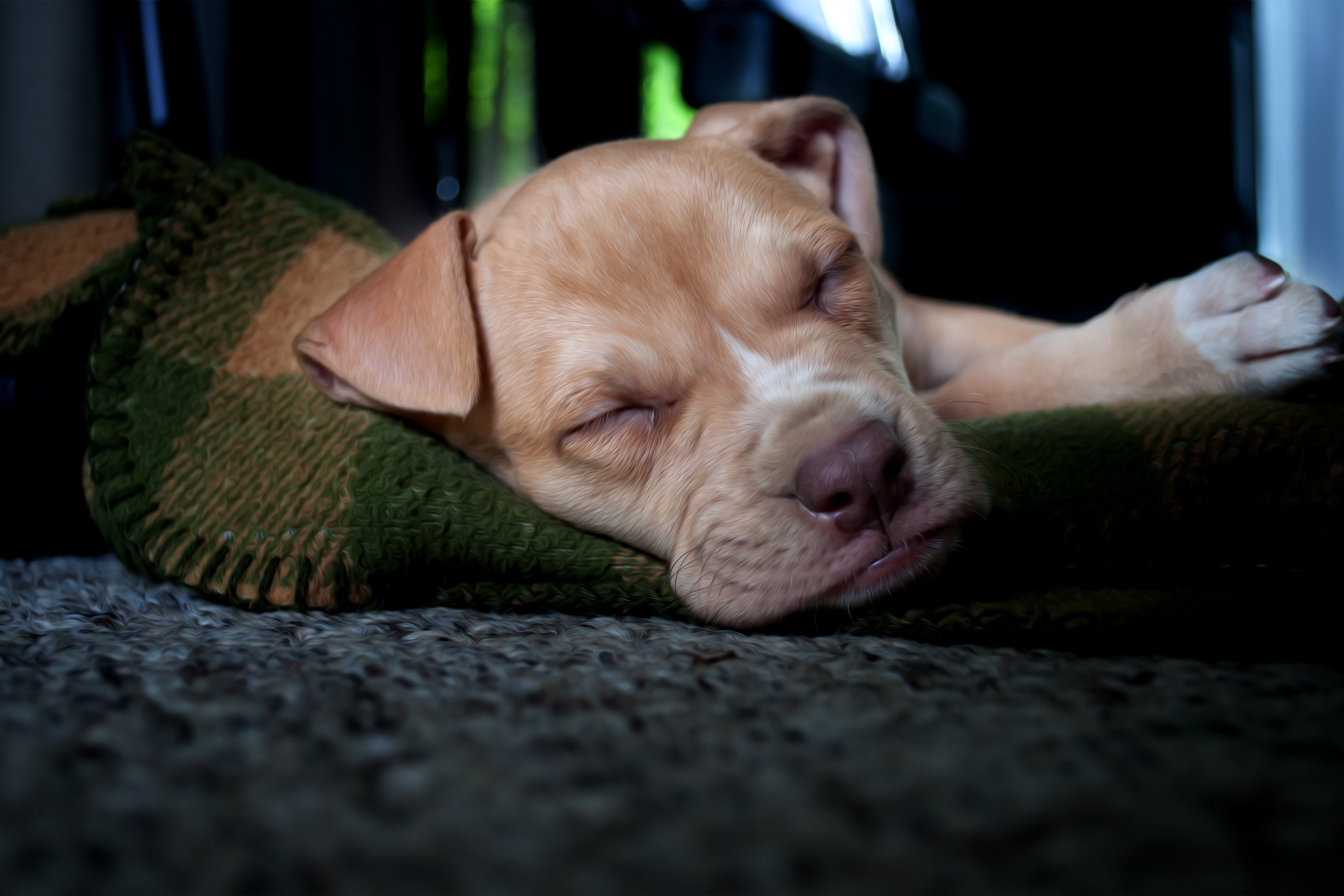 Max Sleeping OP