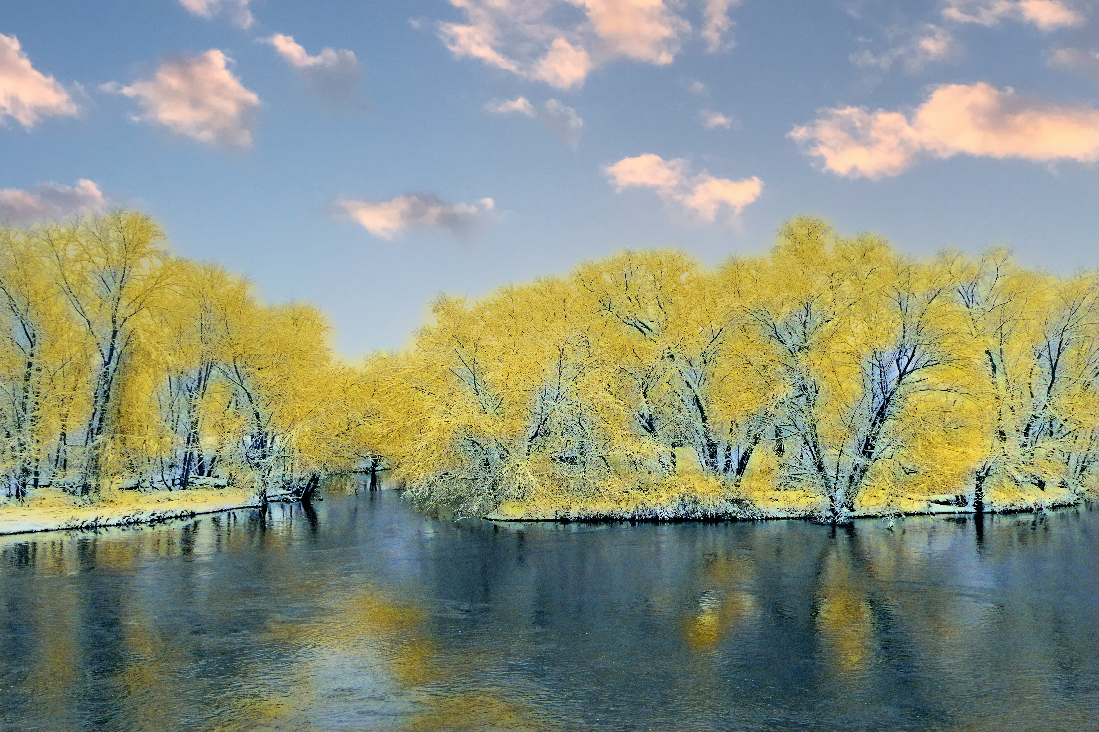 Winter into Spring