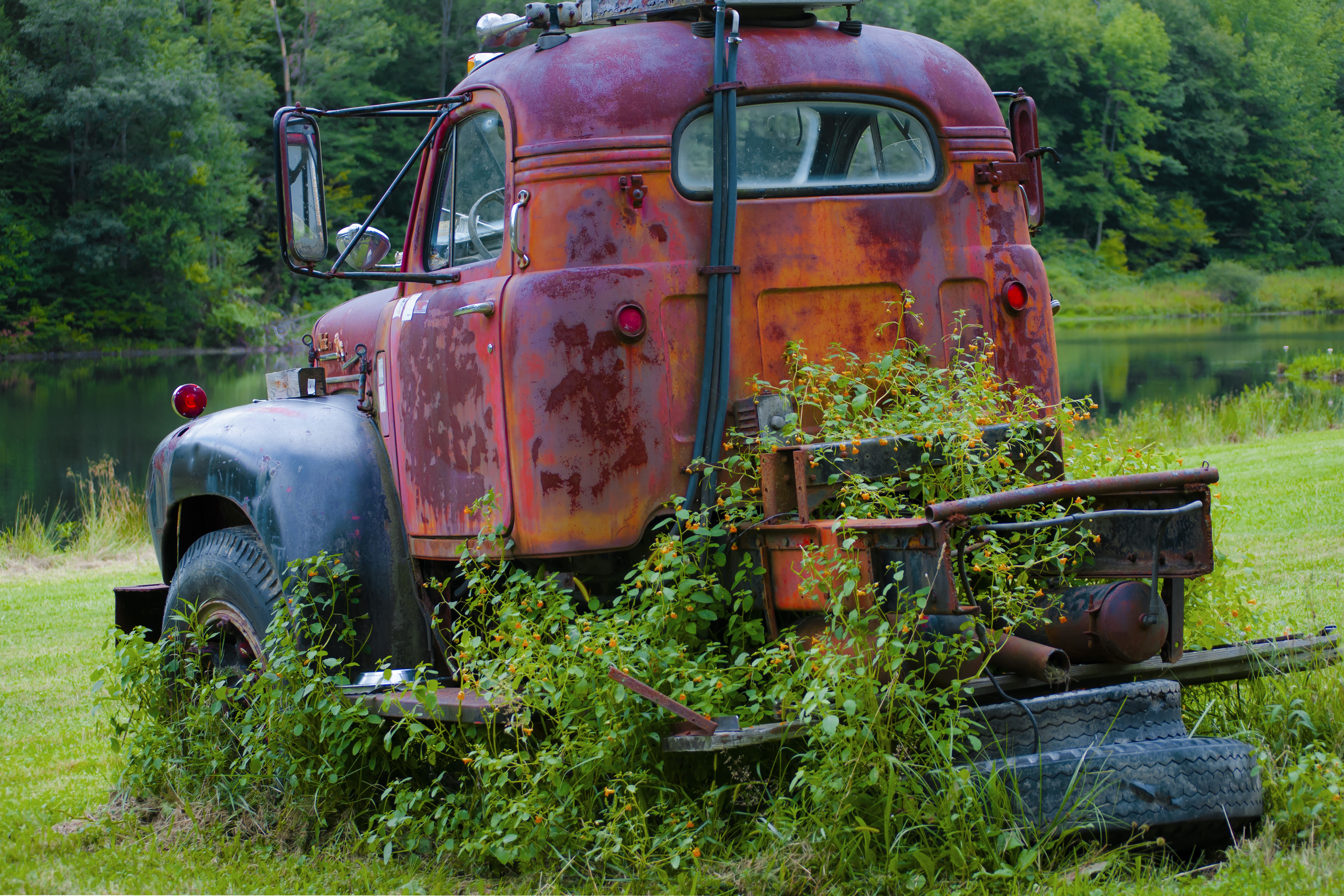 Overgrown Mack