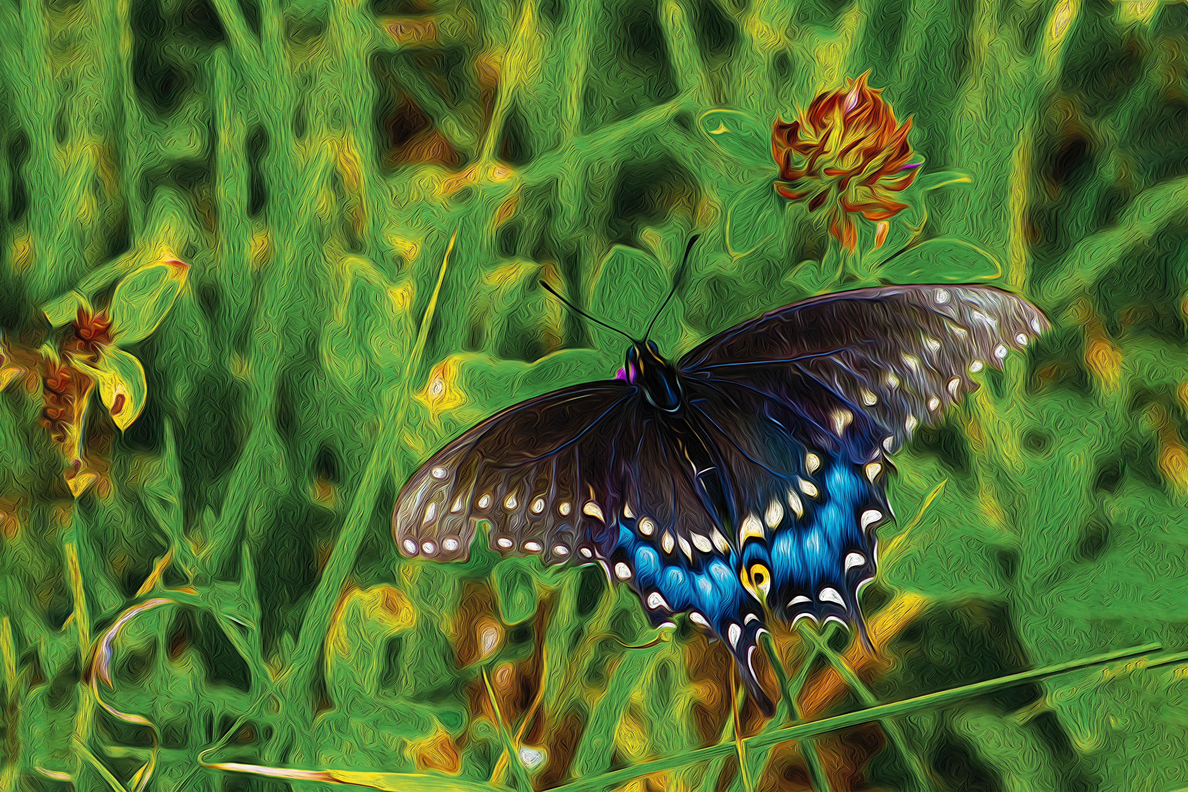Butterfly in Grass