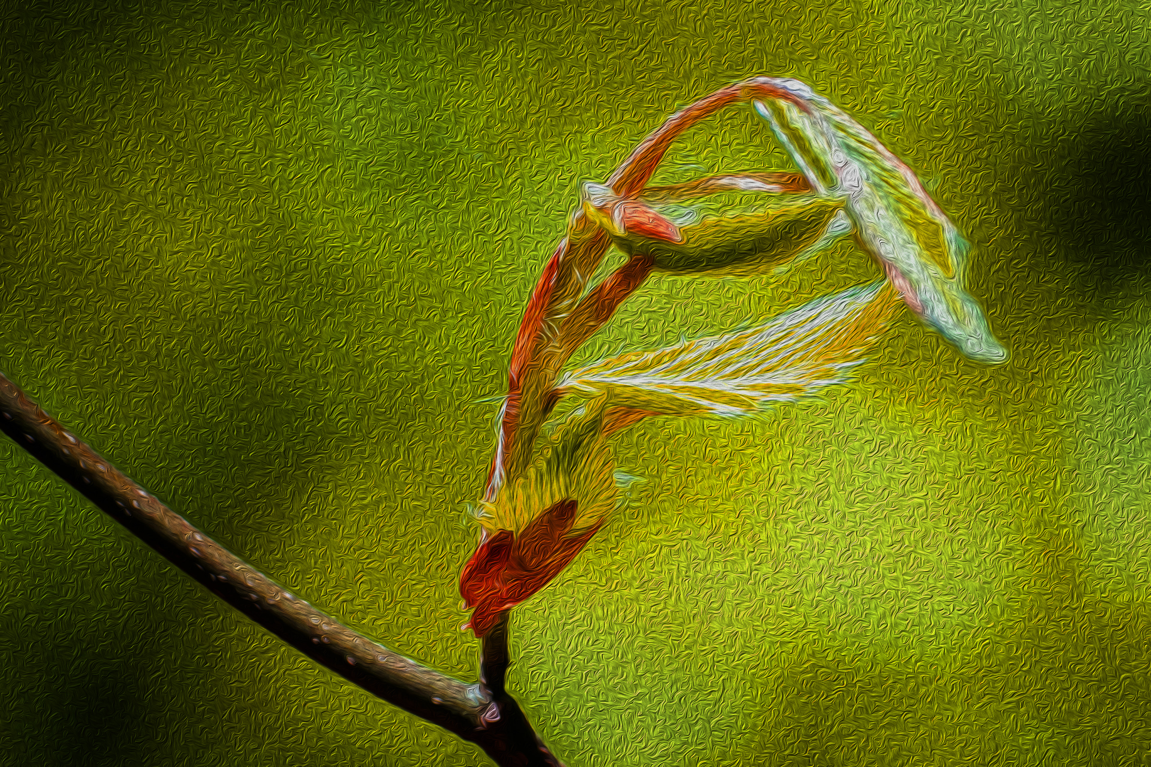 First Sprout of Spring