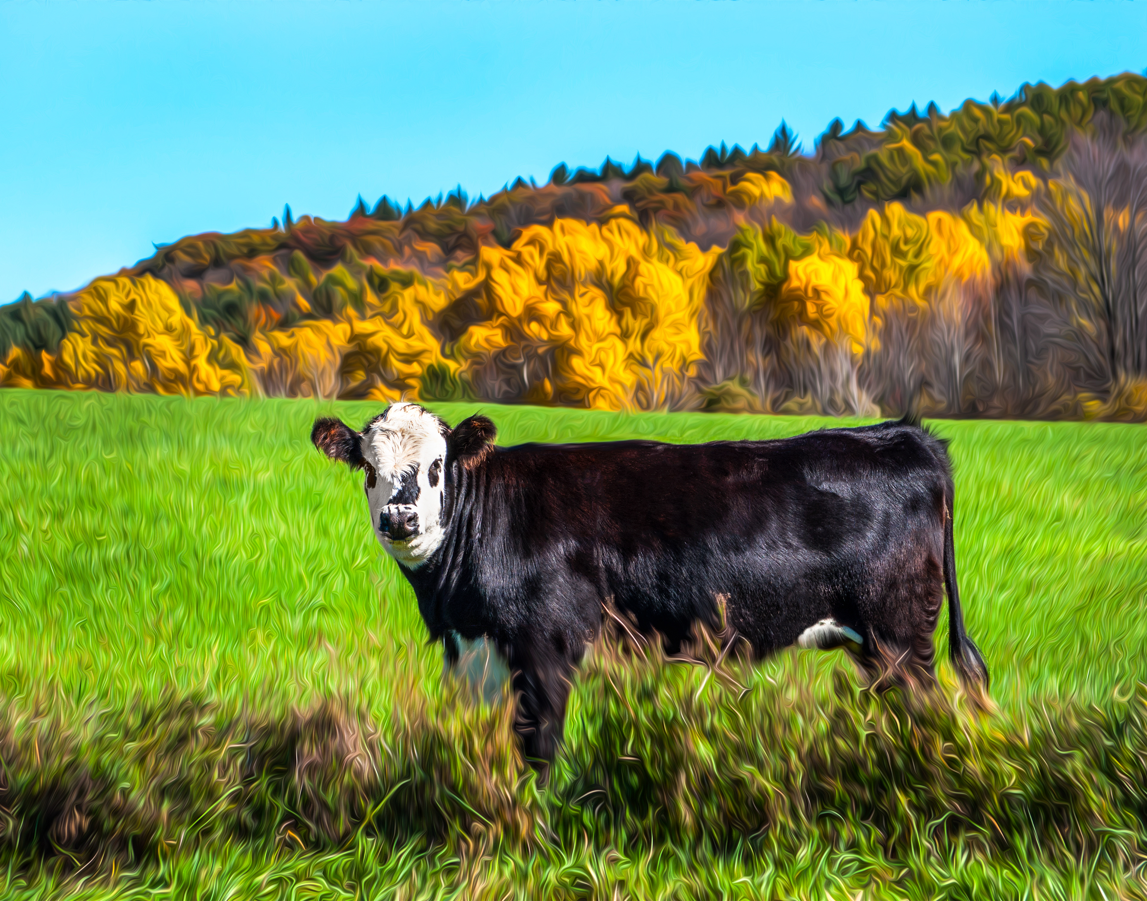 Cow in Oil Painting