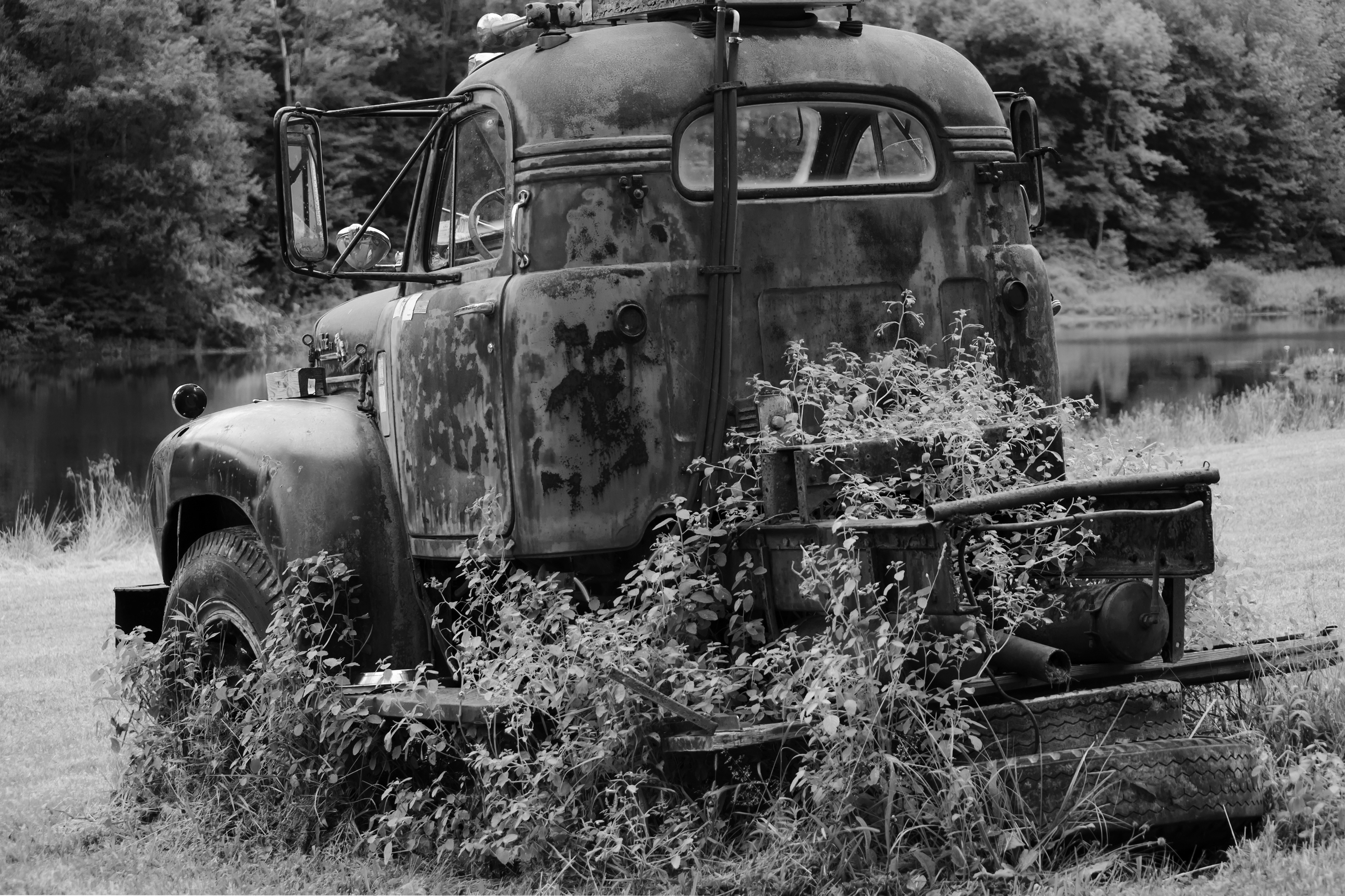 Overgrown Mack B&W