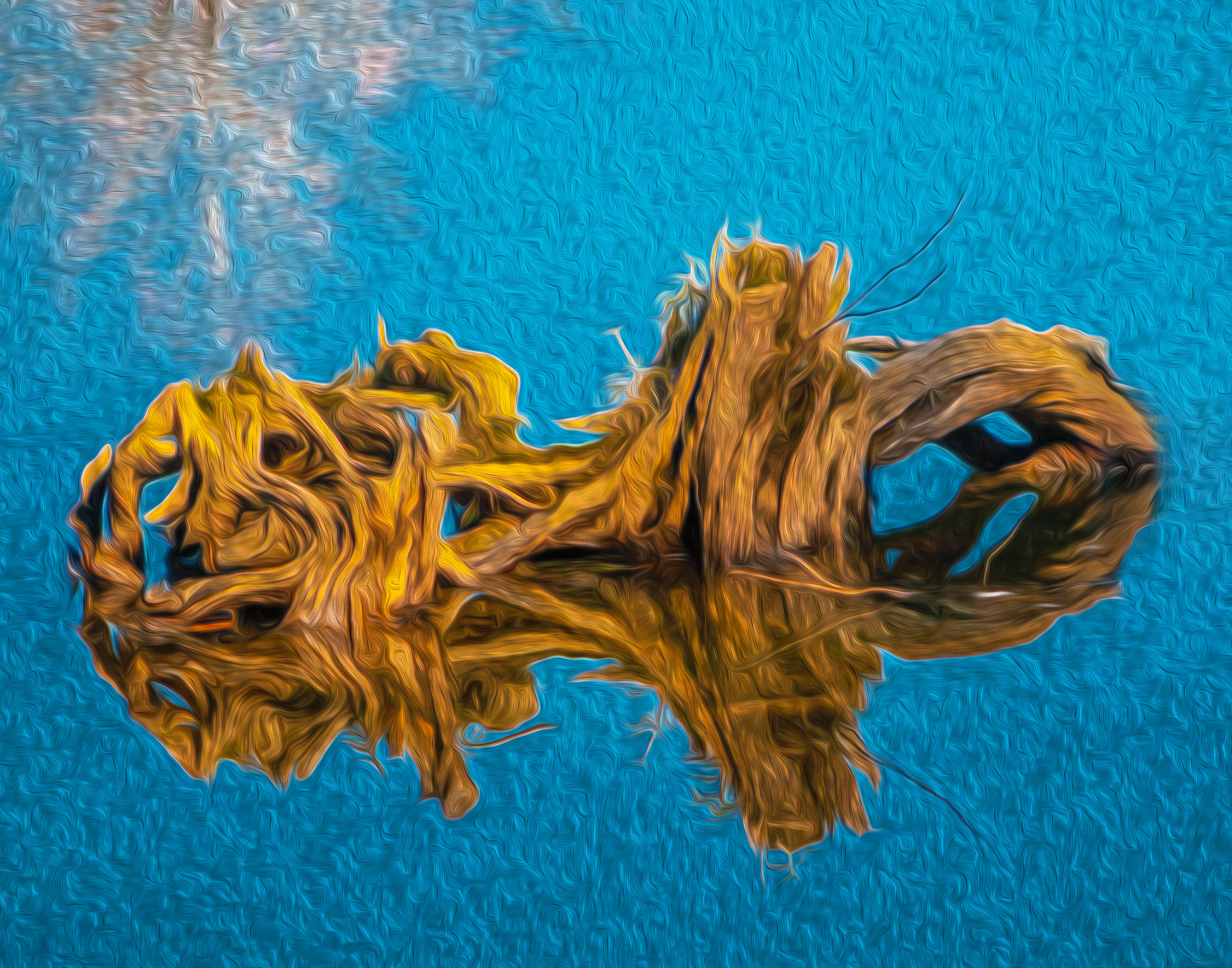 Tree Stump Reflection