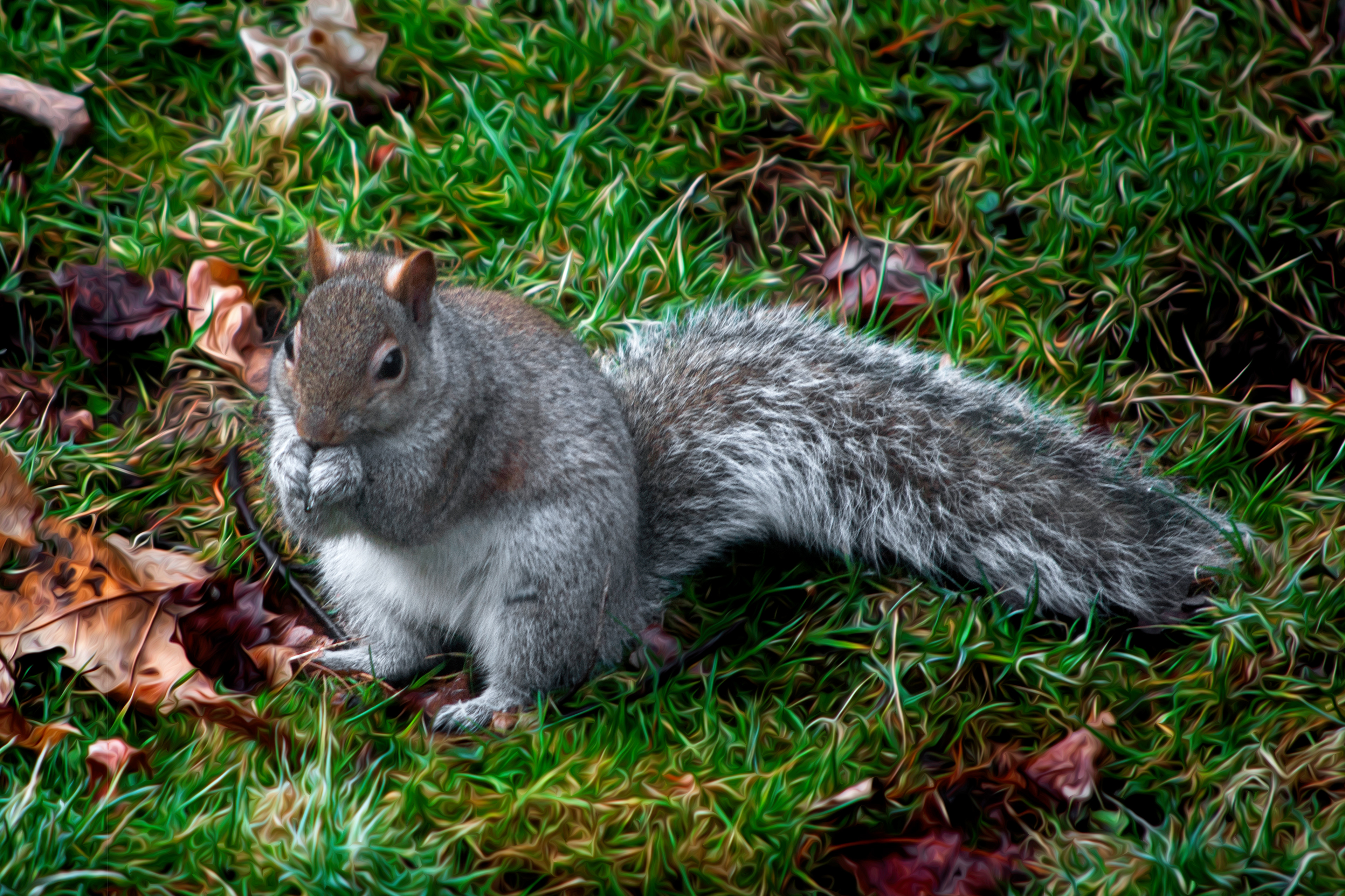 Squirrel Saying Grace