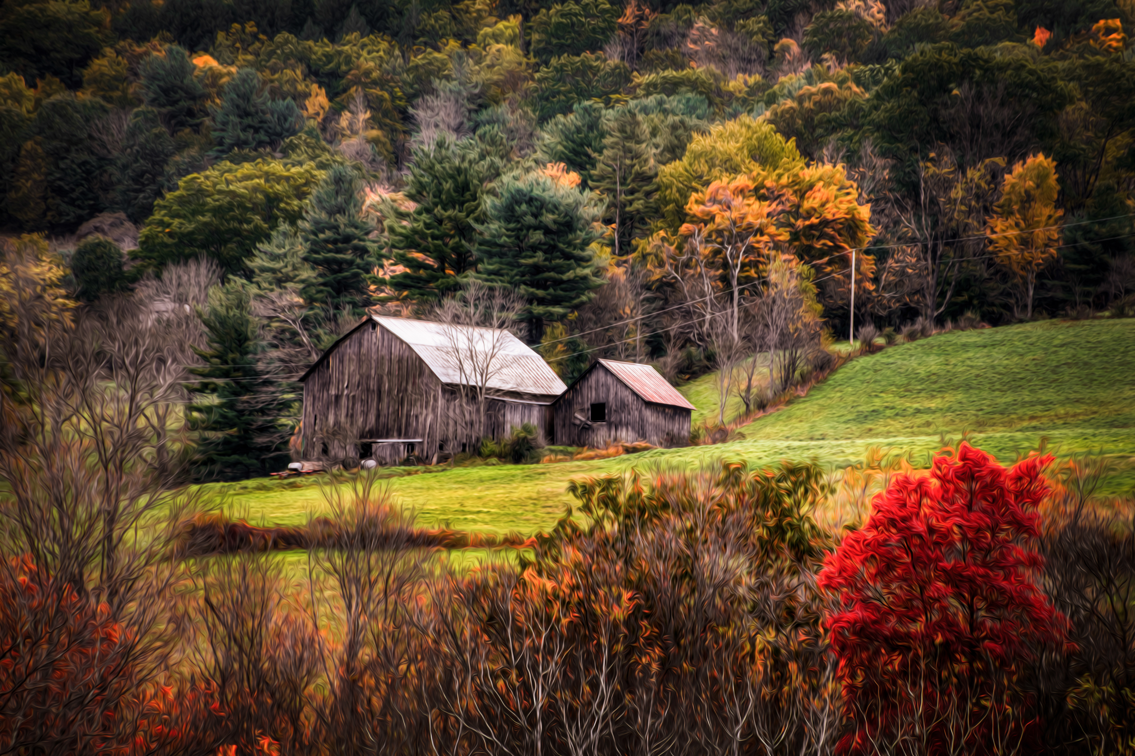 Barn in the Distance OP