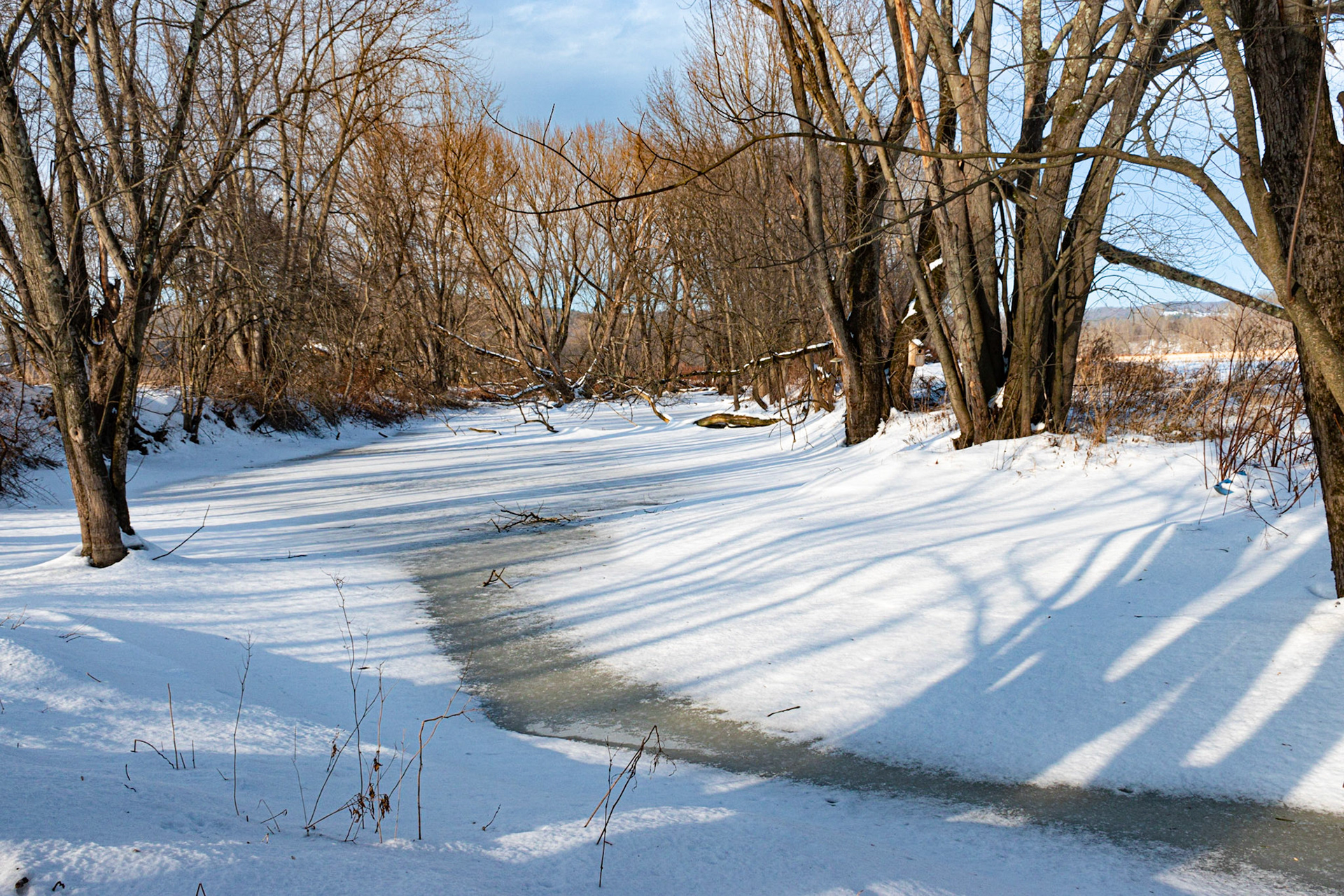 Frozen Backwaters in Windsor