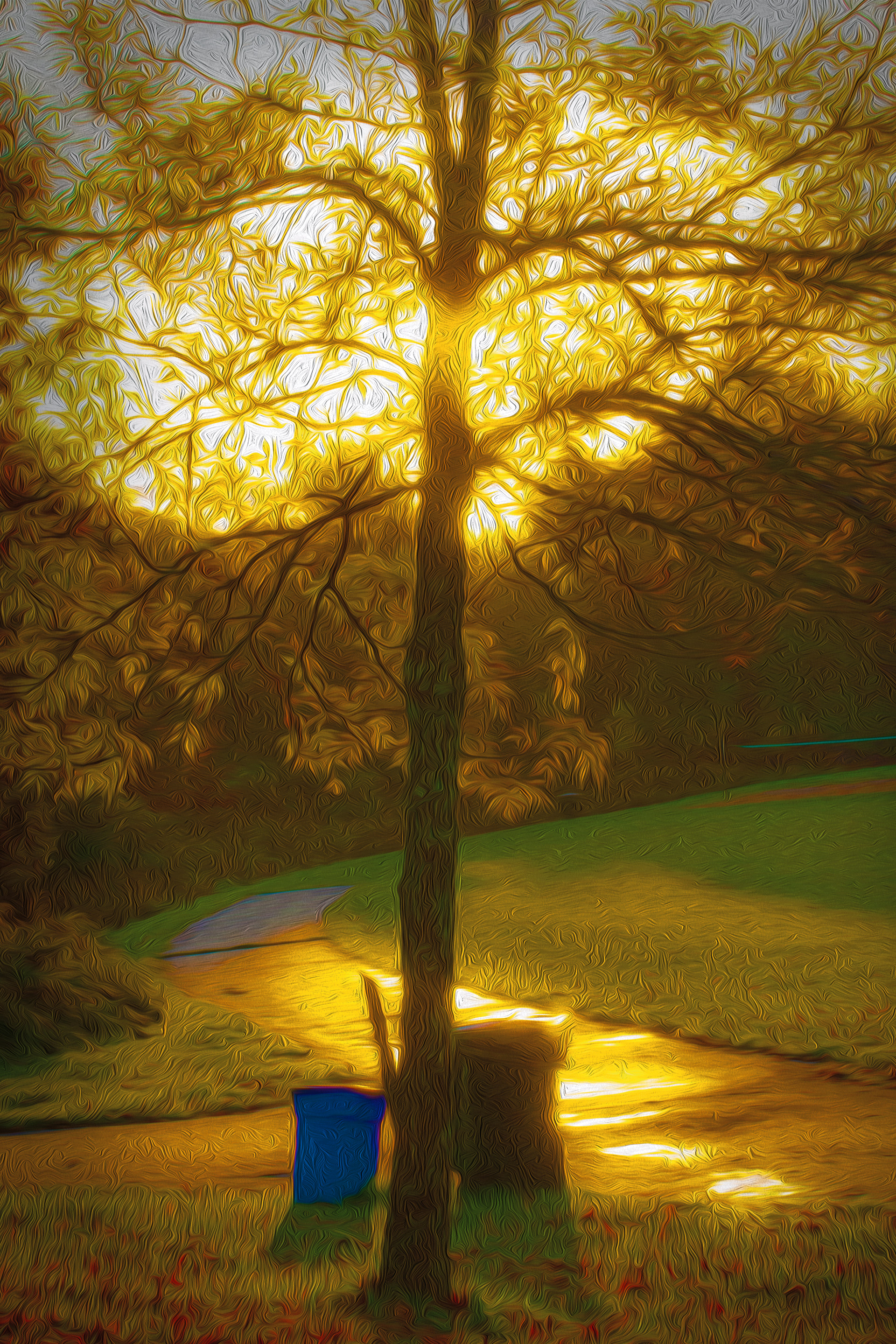 Backlit Tree and Cans
