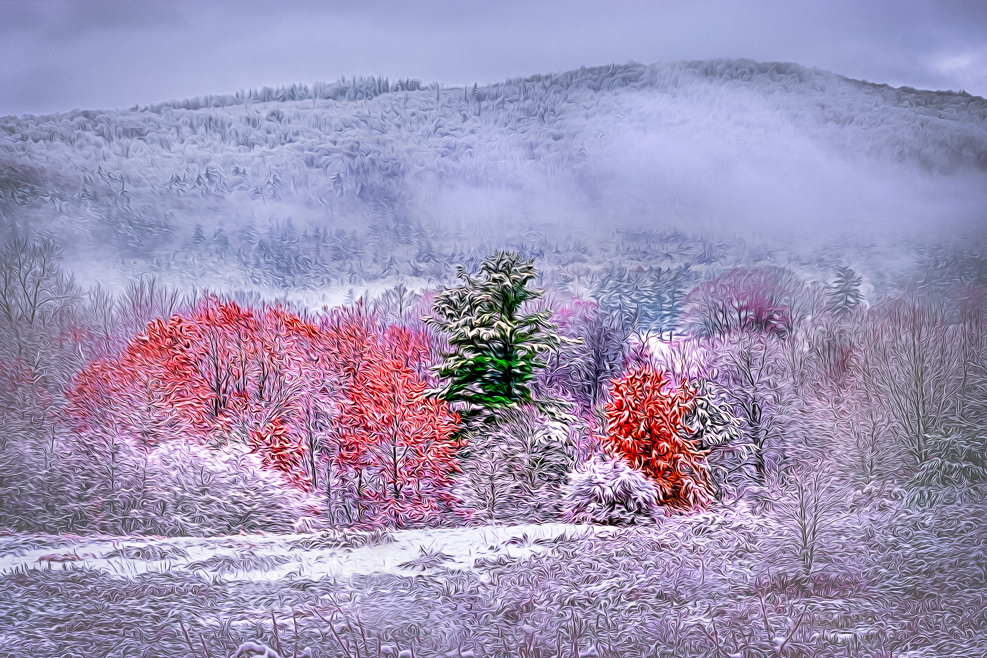 Snow Fog Color