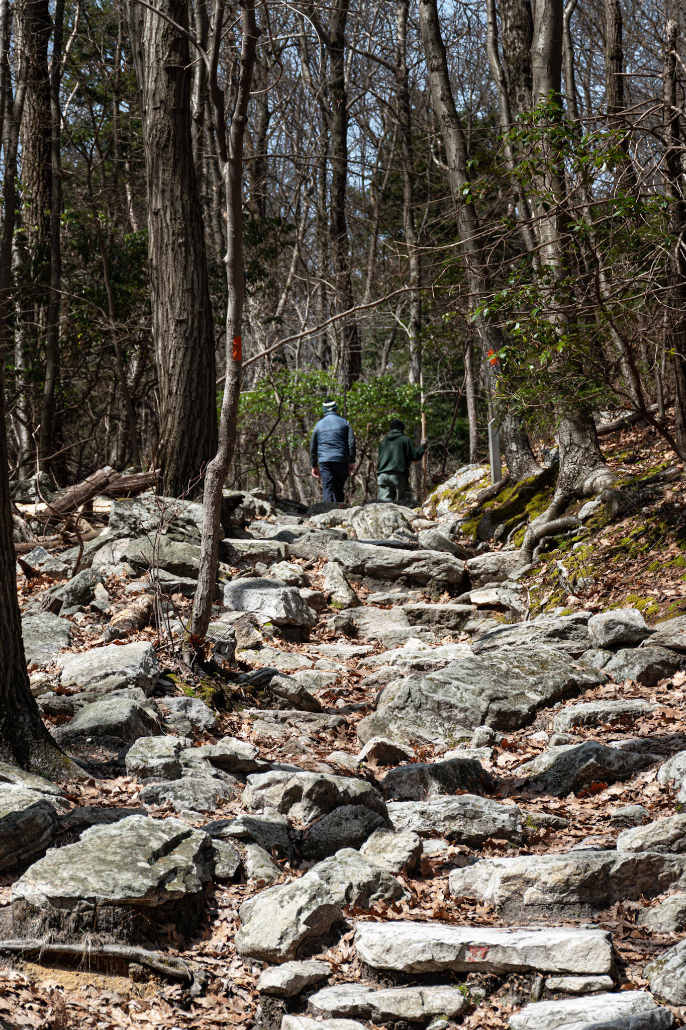 Two Hikers at Top of an "Easy" Trail