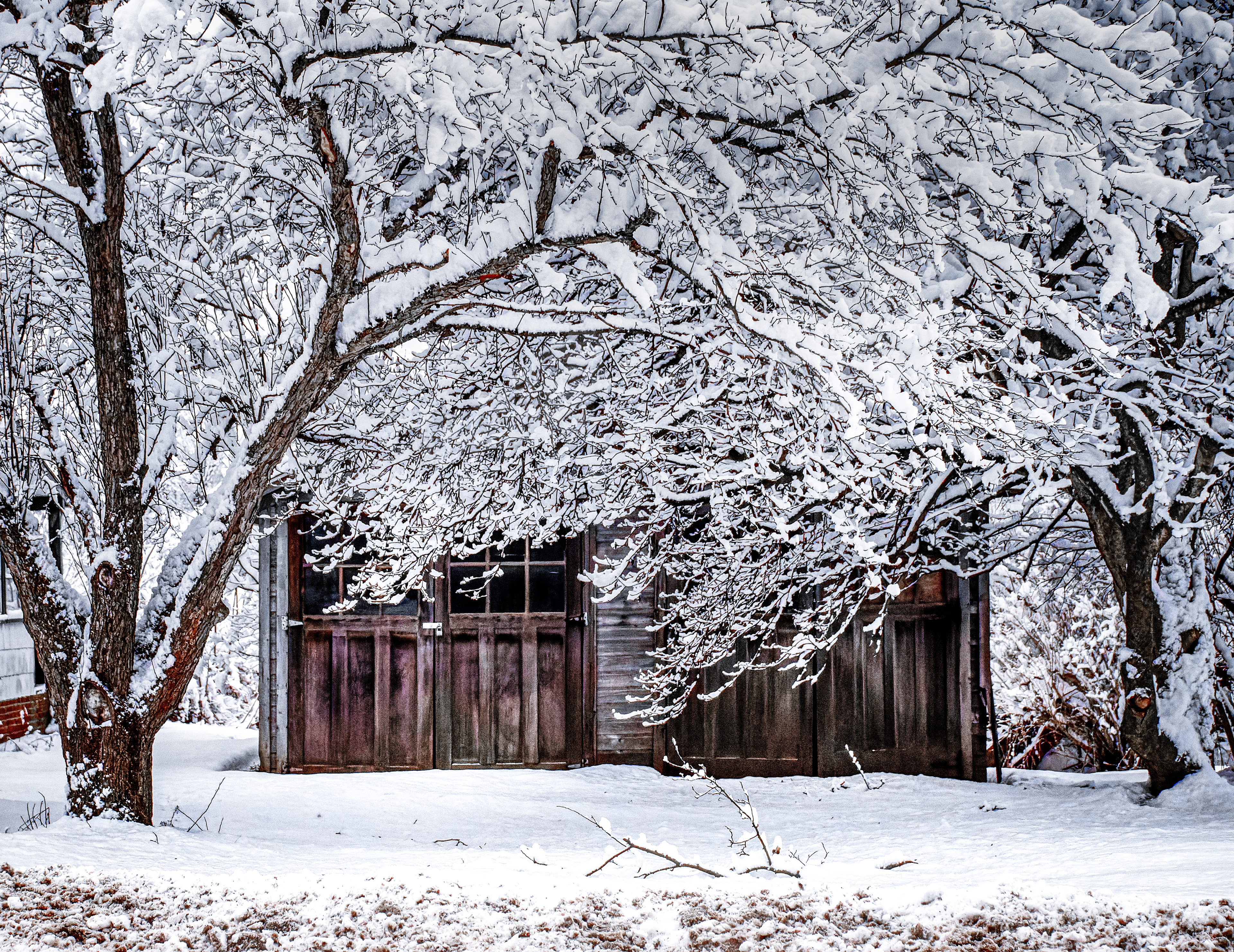Brown Garage Doors and Snow