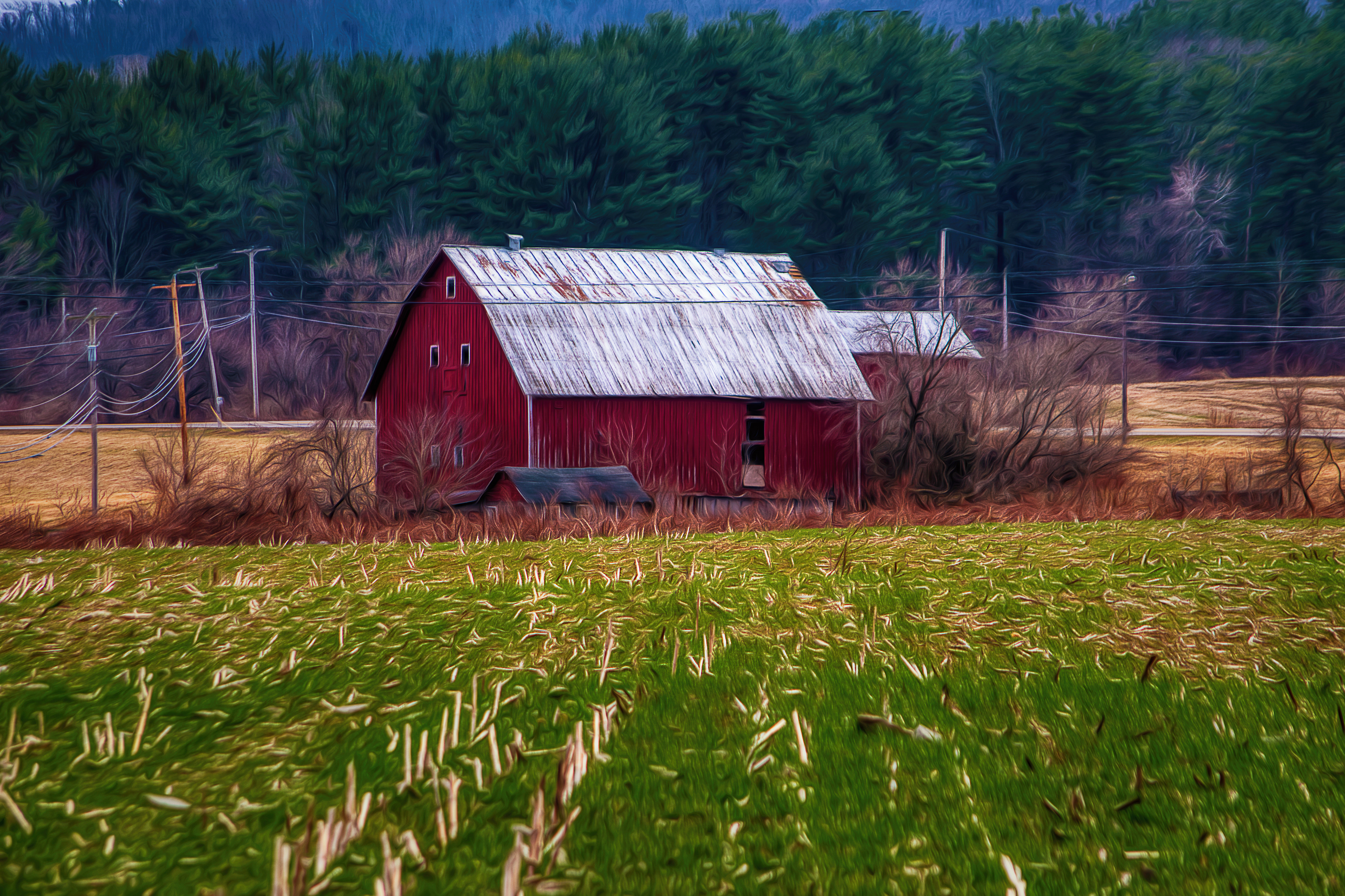 Barn and Field OP