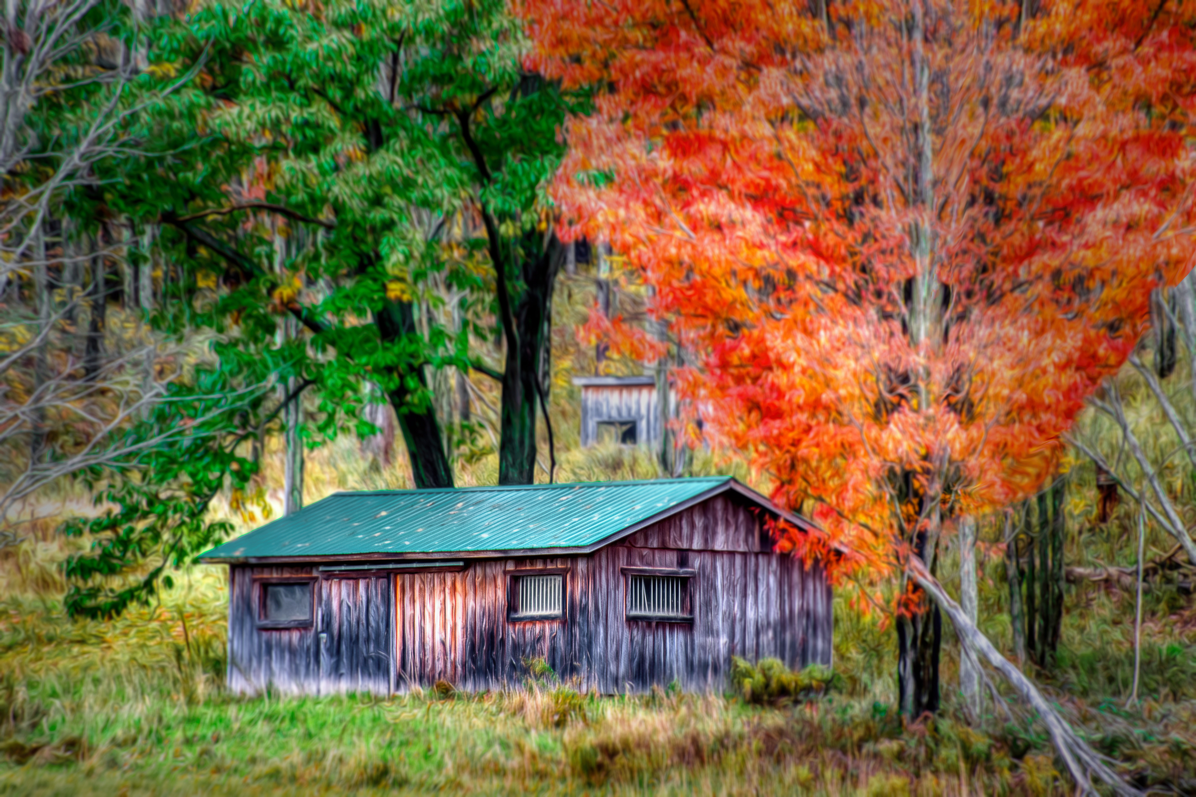 Green Roofed Shed