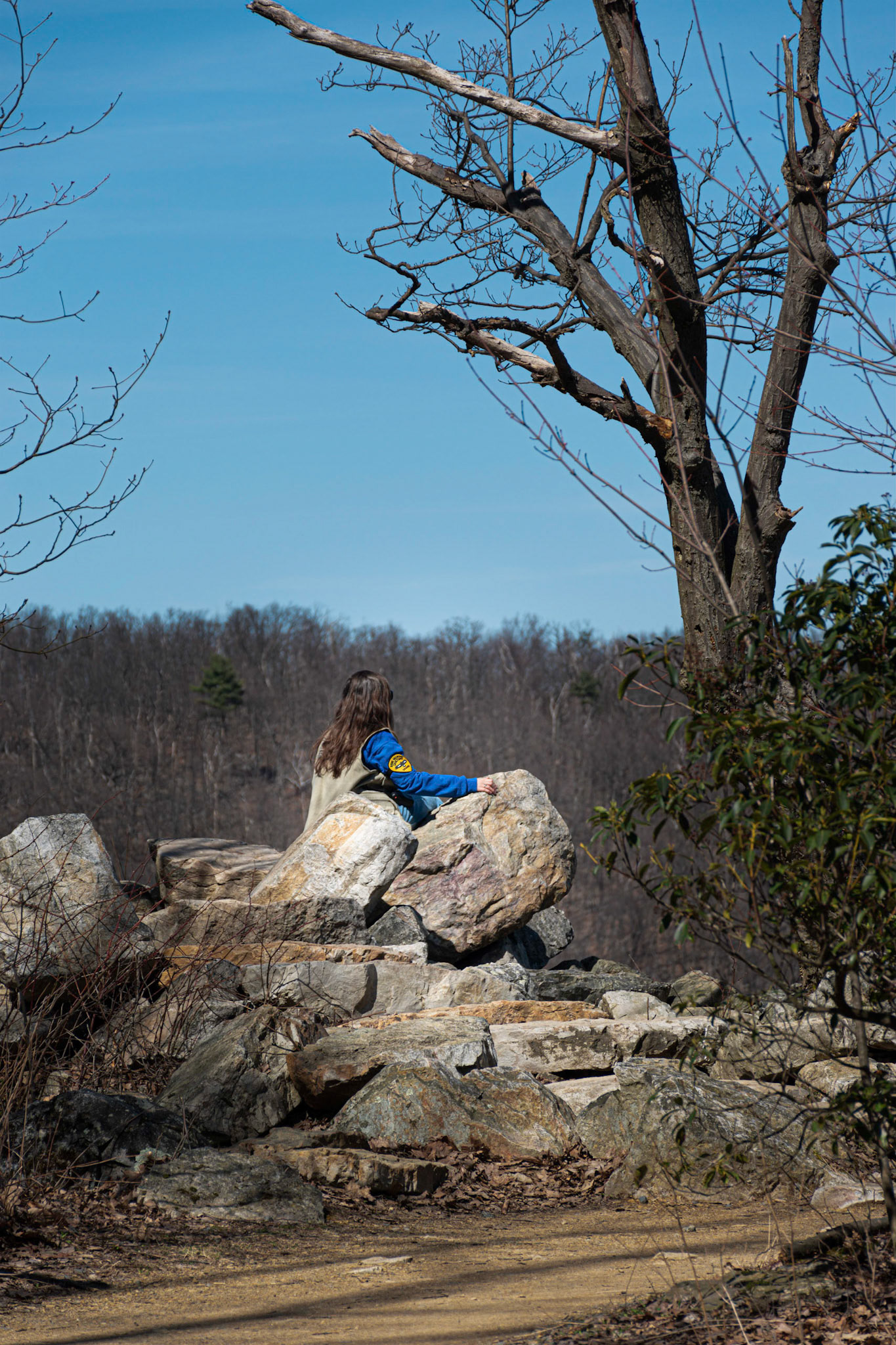 Bird Counter at Hawk Mountain