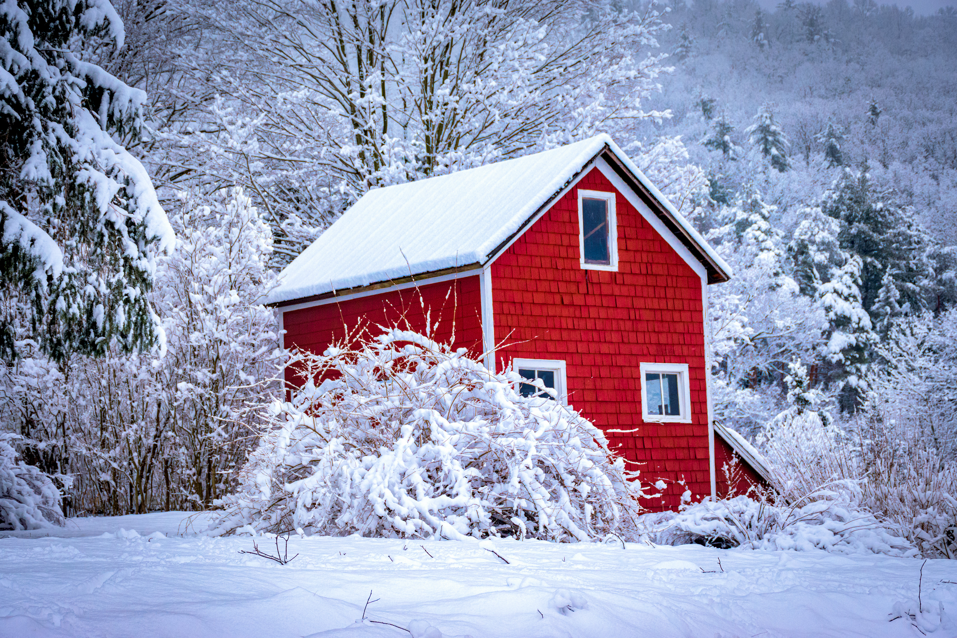 Red Barn and Trees Outside Windsor after 5" Snowfall