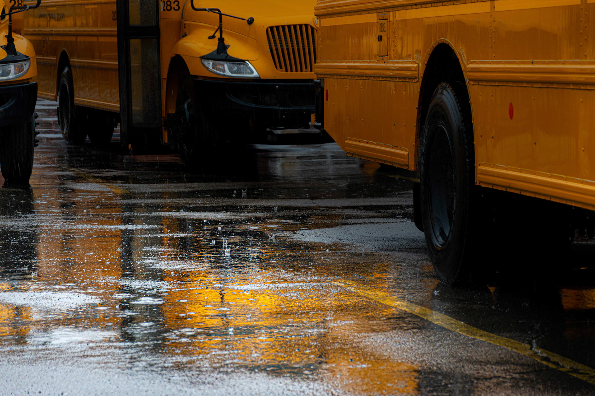 Windsor Buses and Puddle