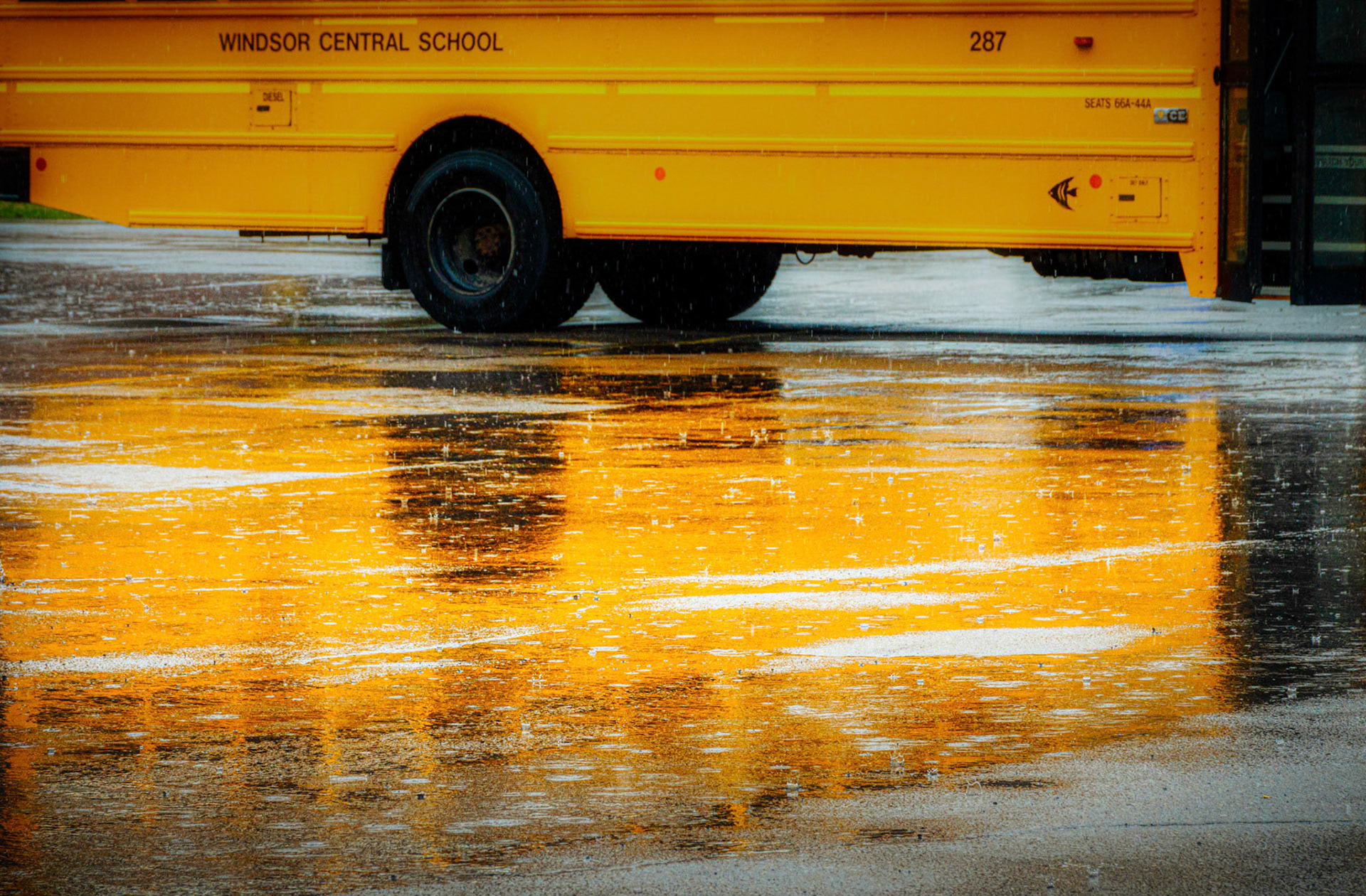 Windsor Bus Reflection in Puddle