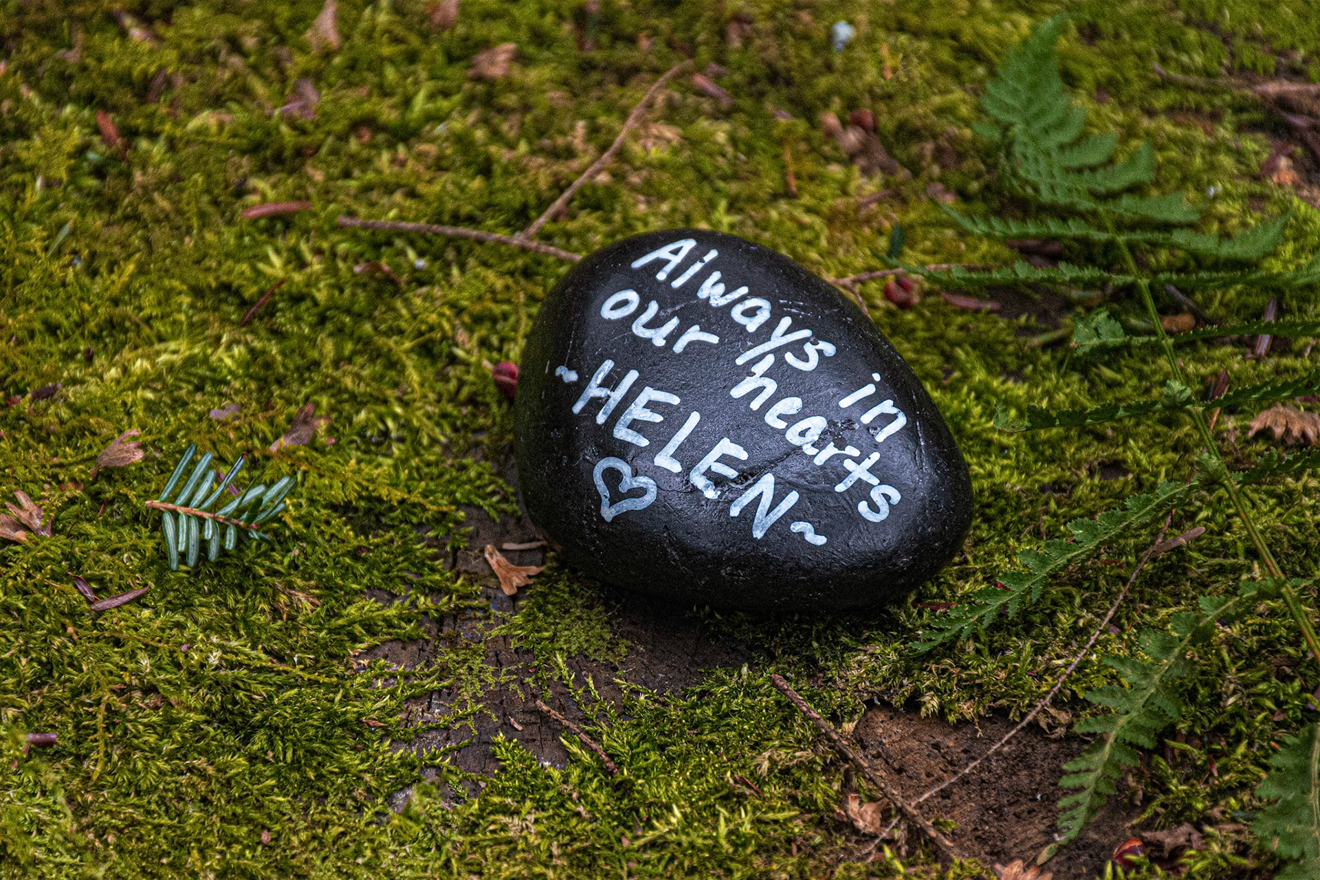 Kind Words on a Stone on a Stump