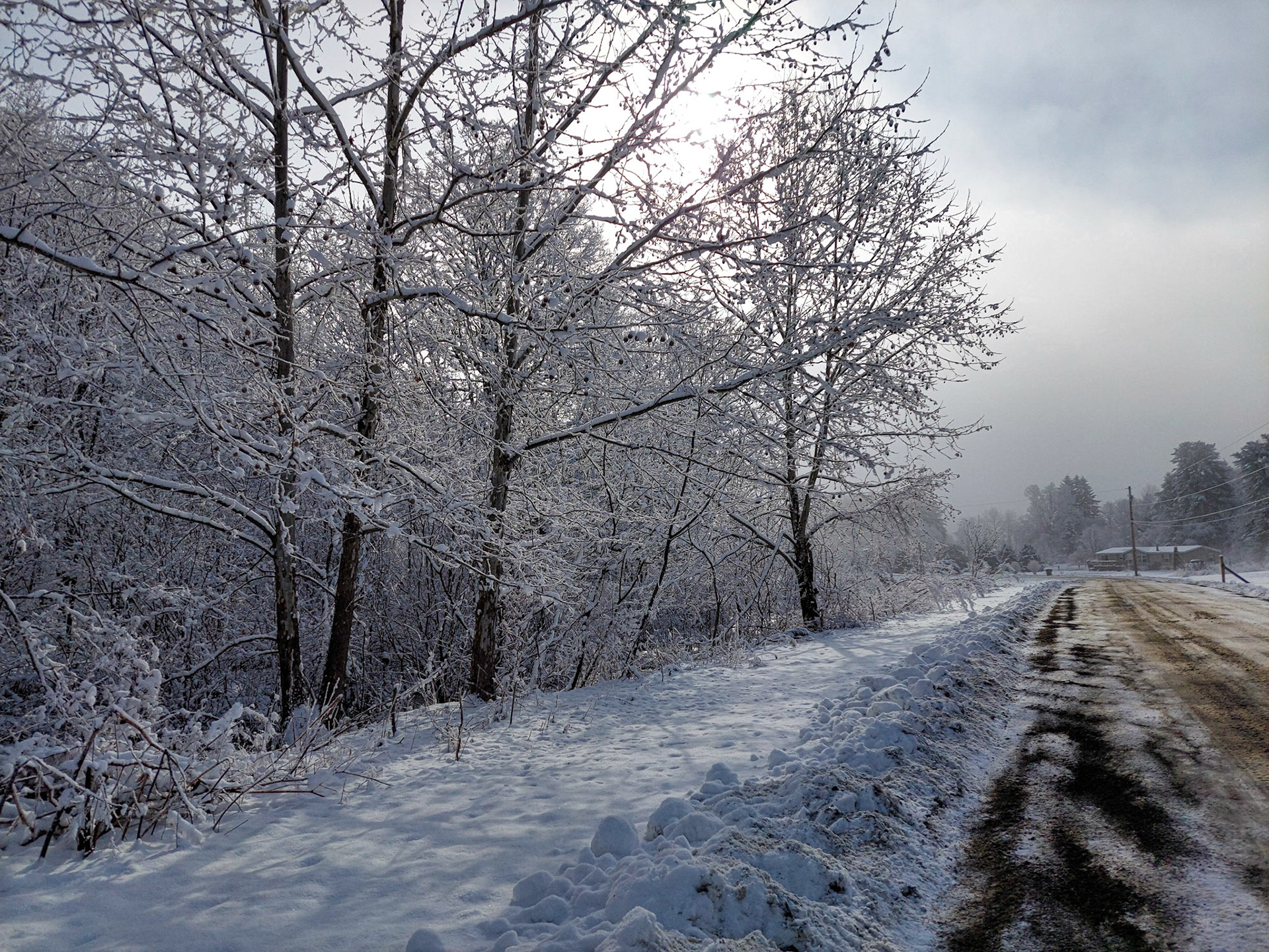 Snowy Foggy Morning on Seward Road