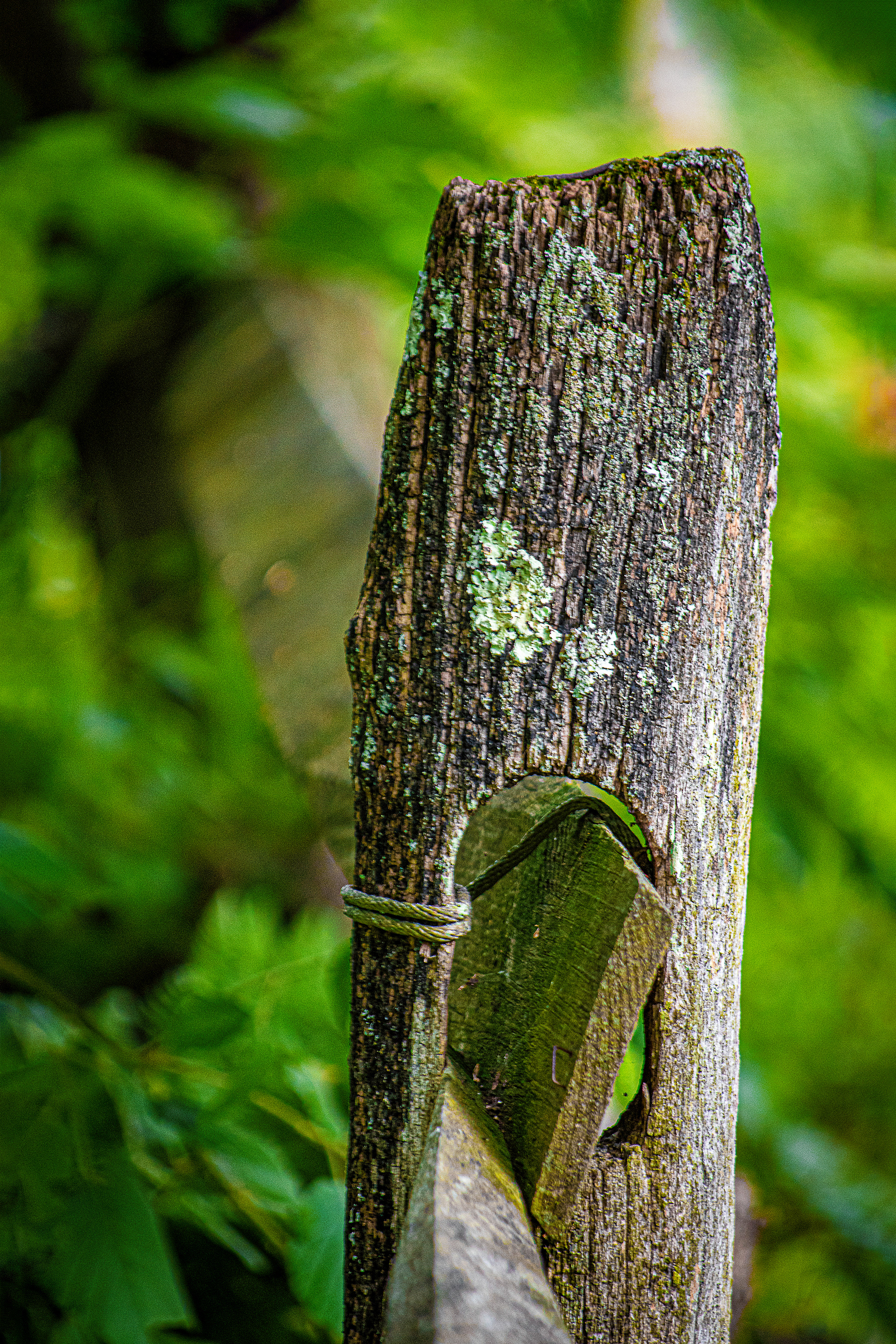 Fence Post