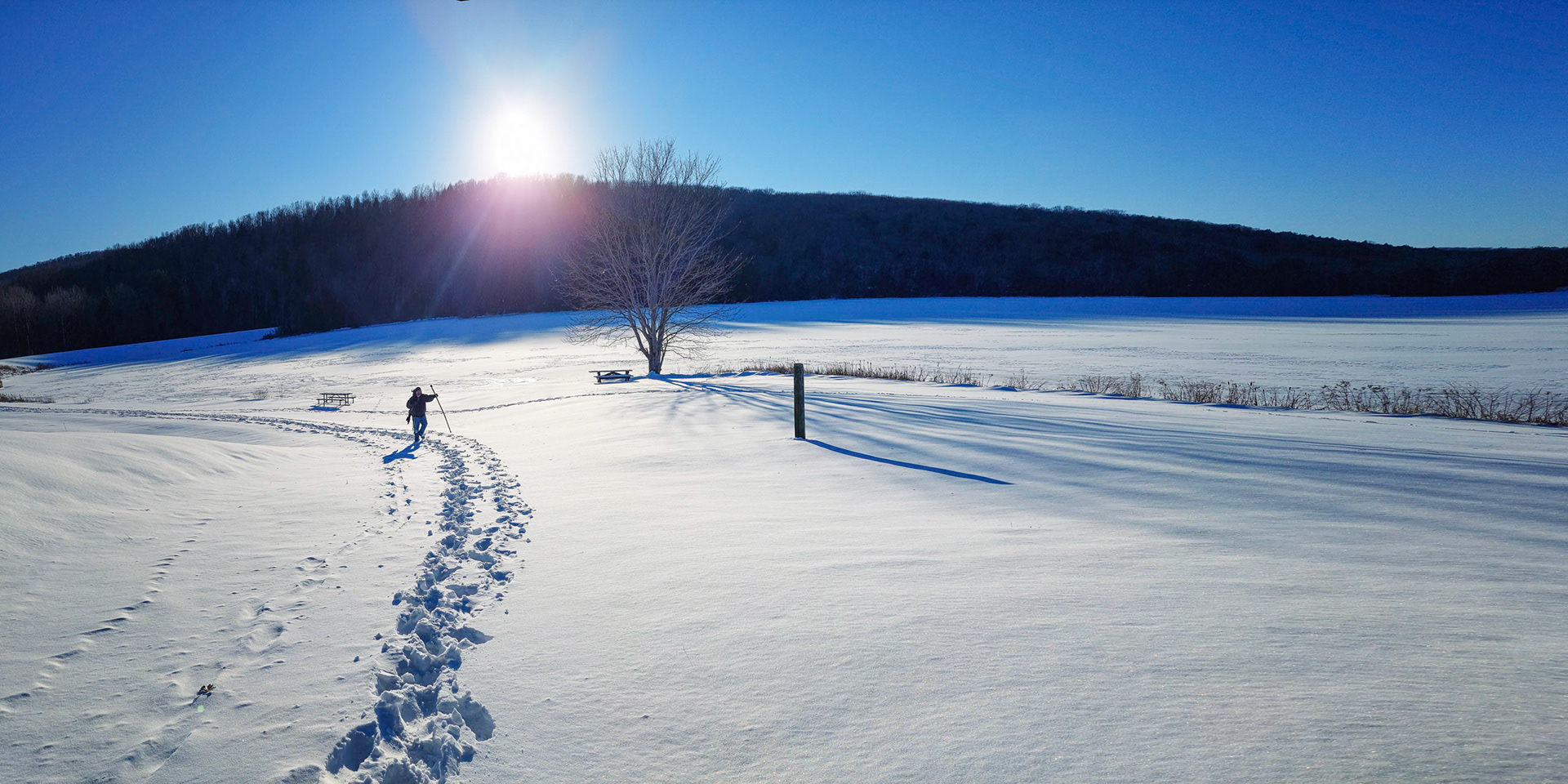 Walking a Trail in Snow