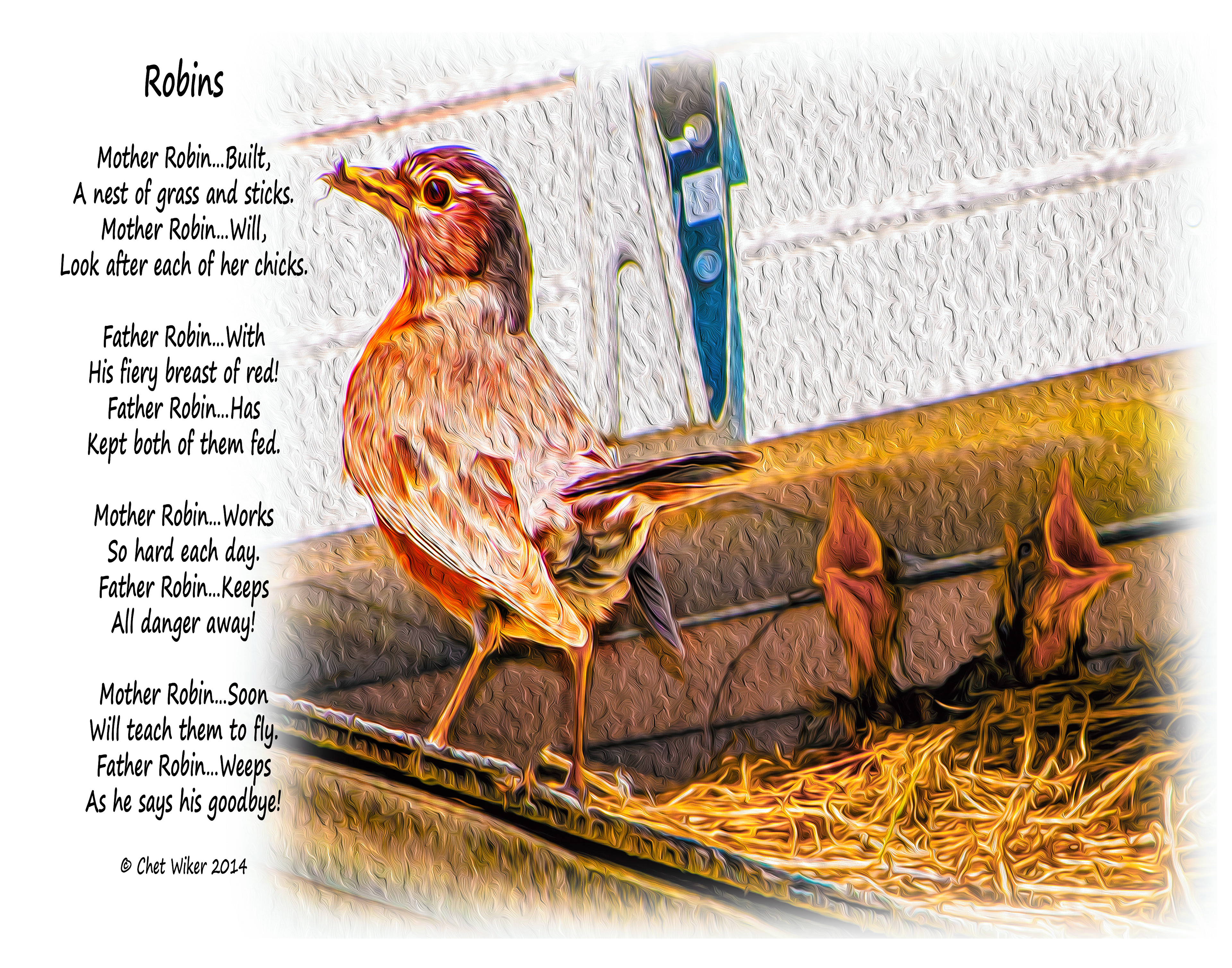 Robins Poem