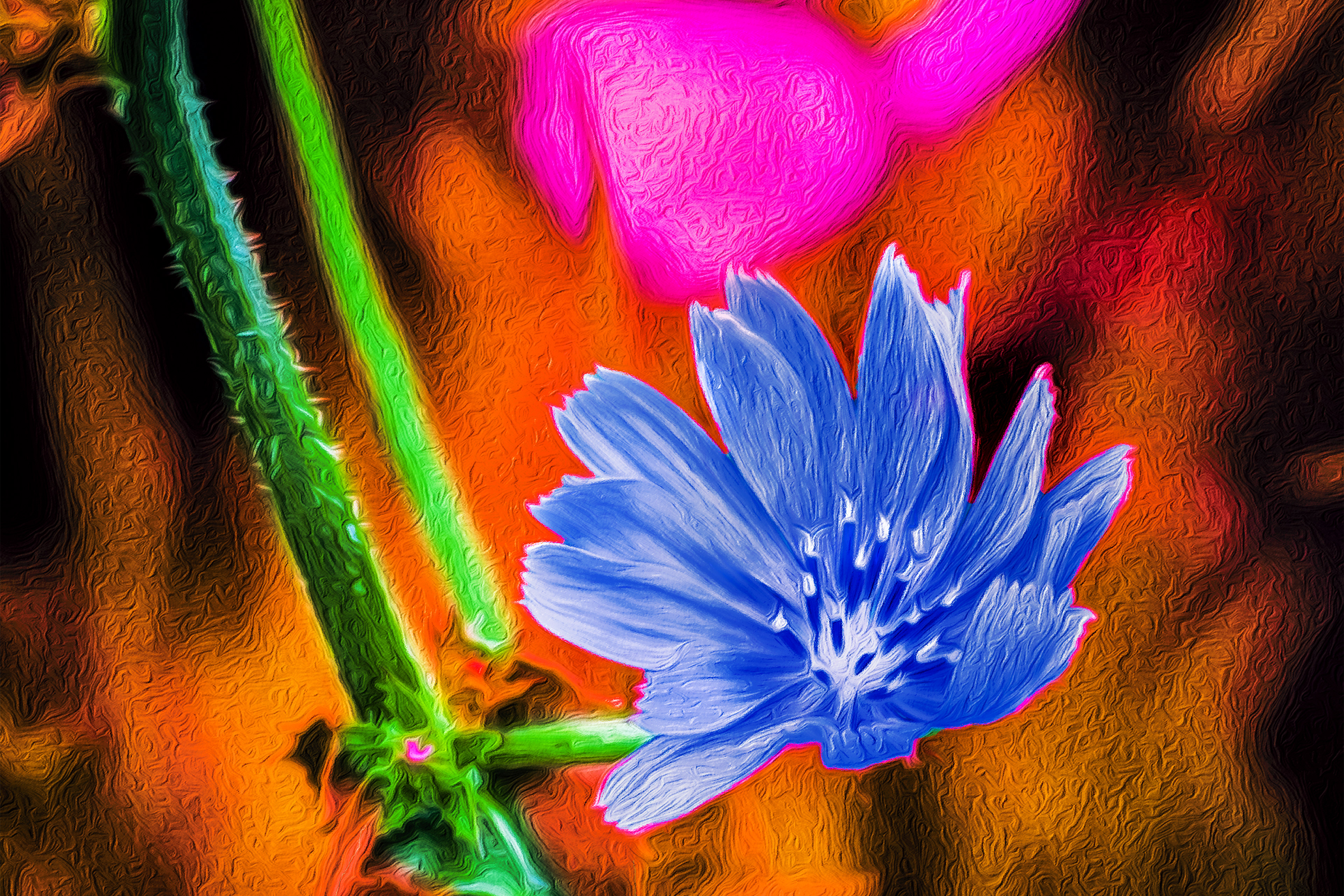 Pale Blue Flower OP Bright Background