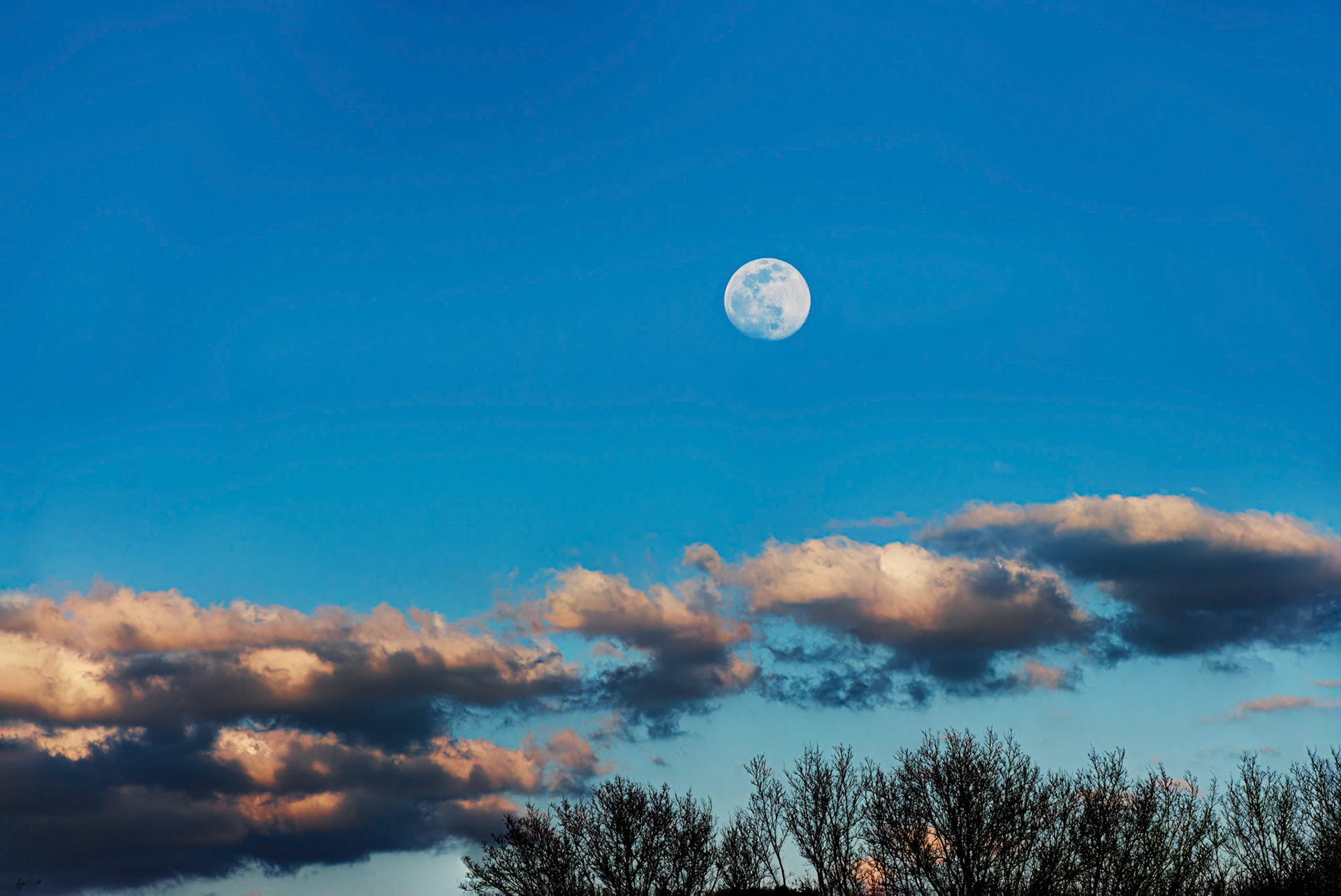 Full Moon over Clouds and Trees