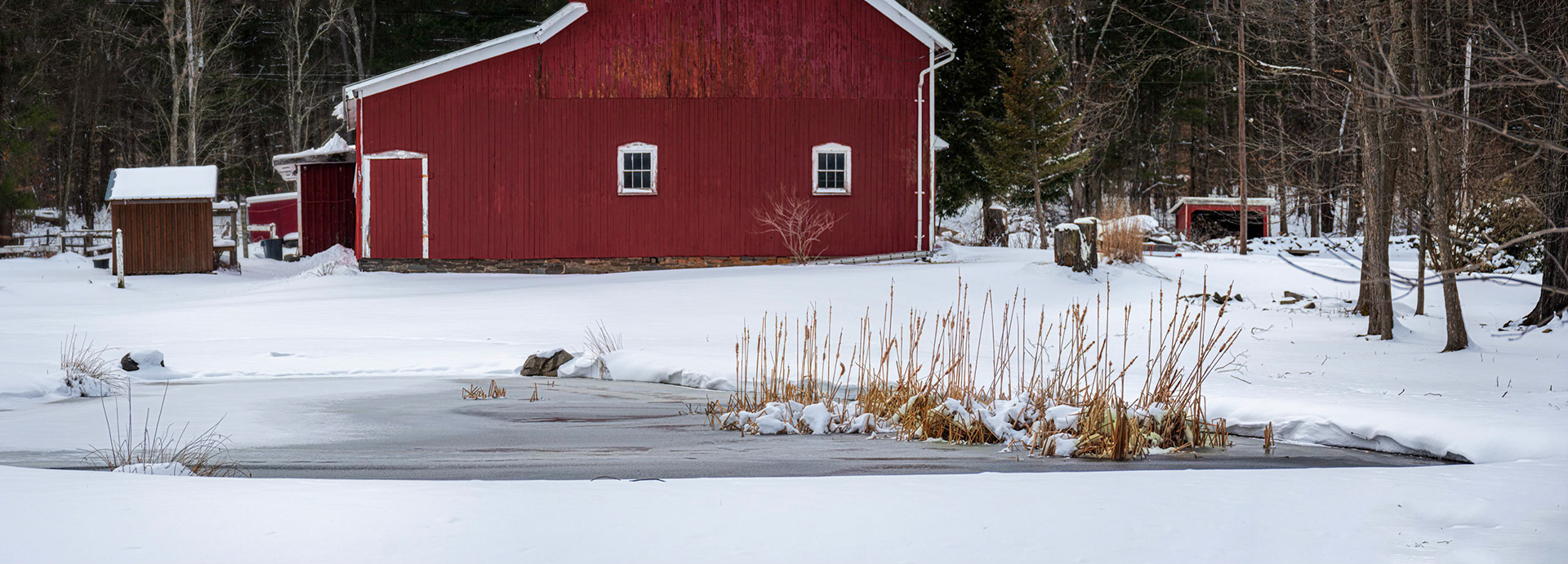 Frozen Pond and Red Barn