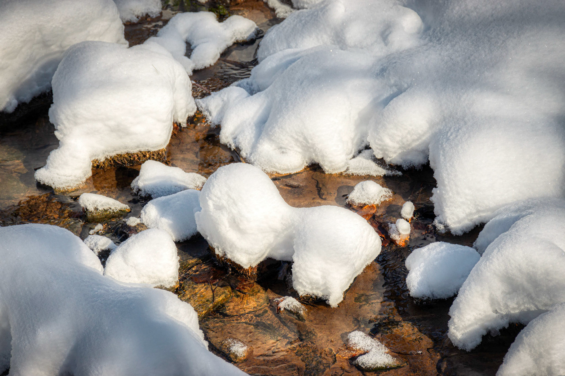 Snow on Rocks looks like Carved Bust