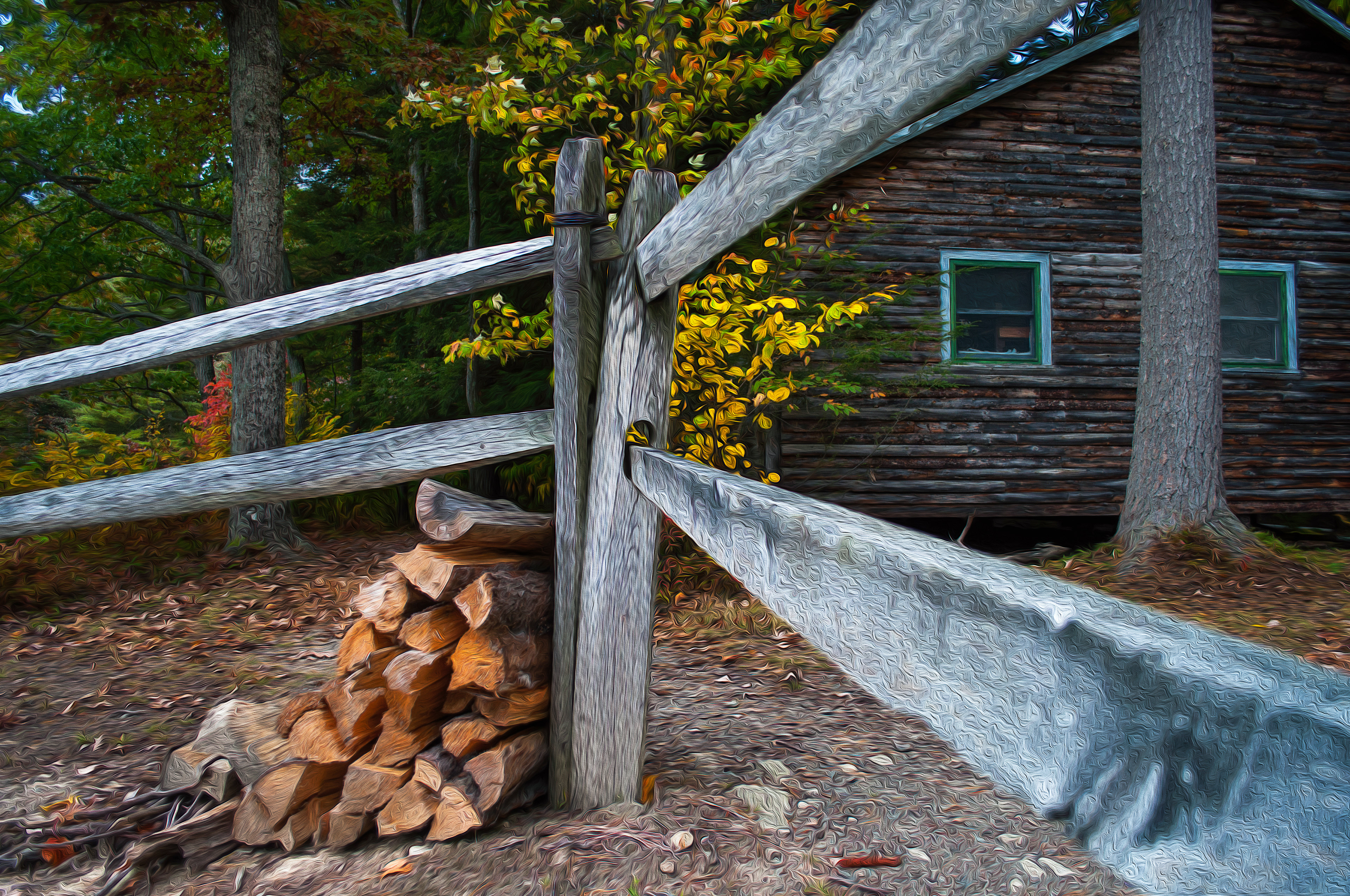 Fence & Wood Pile