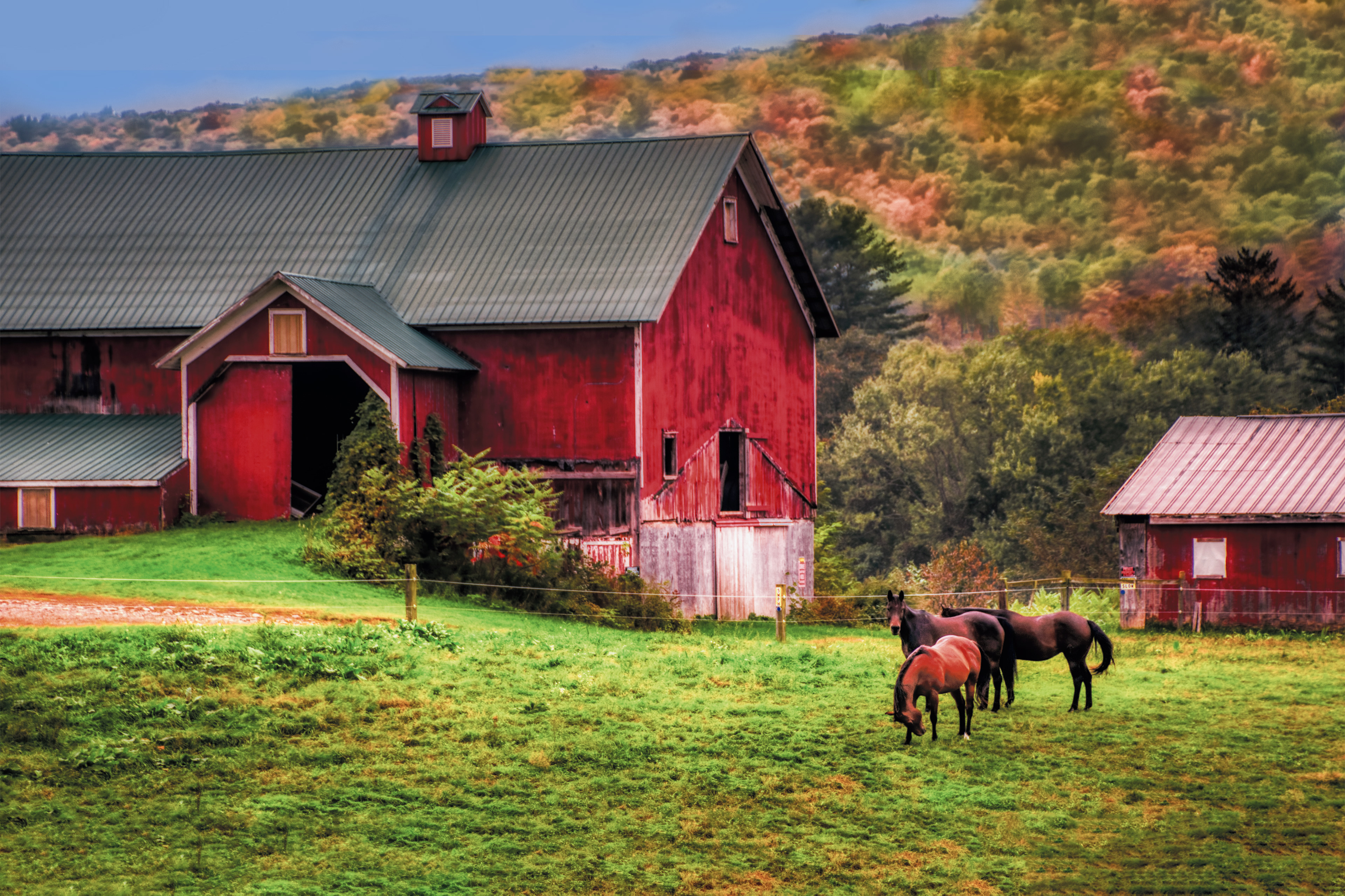 Red Barn with Horses