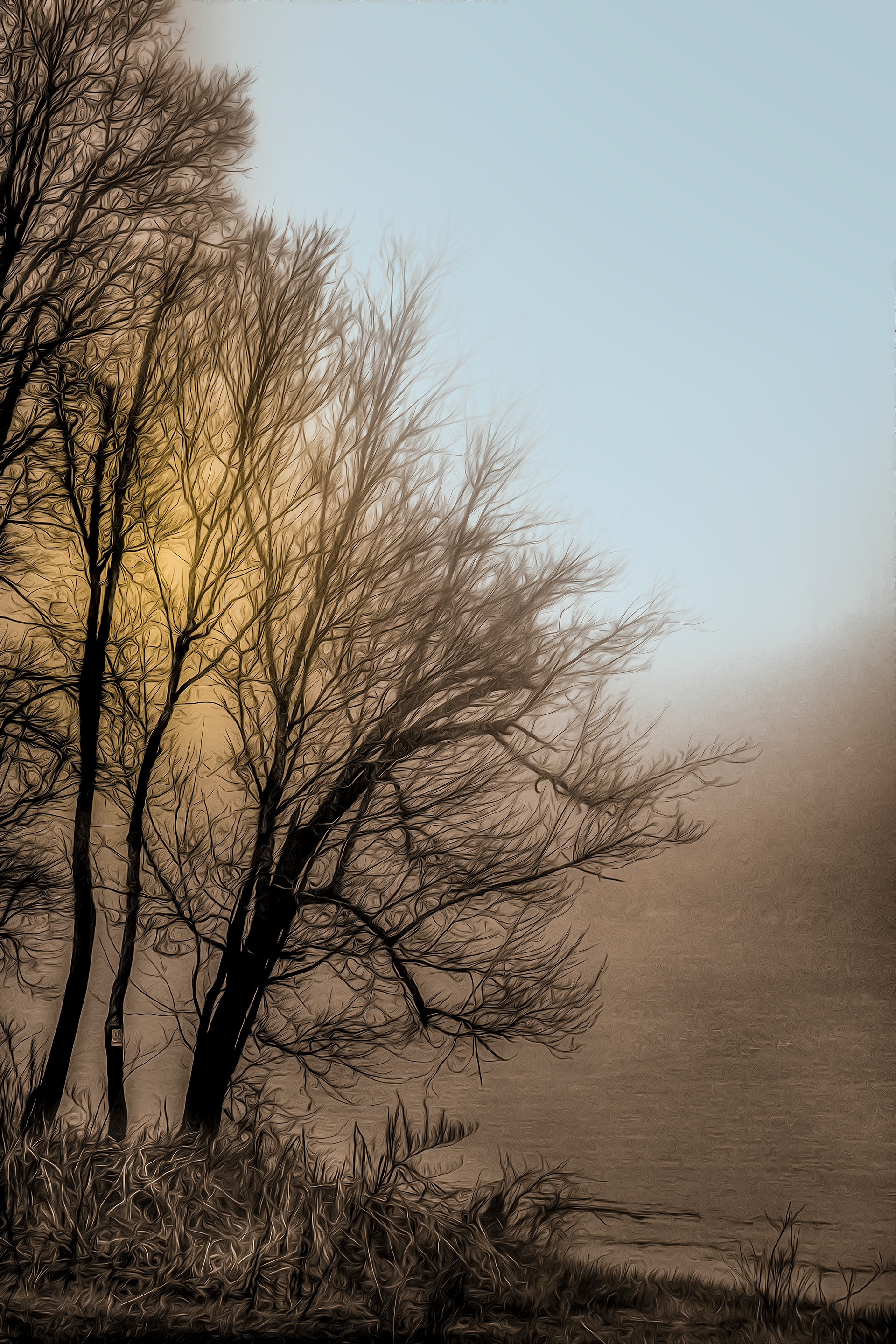 Morning's First Light