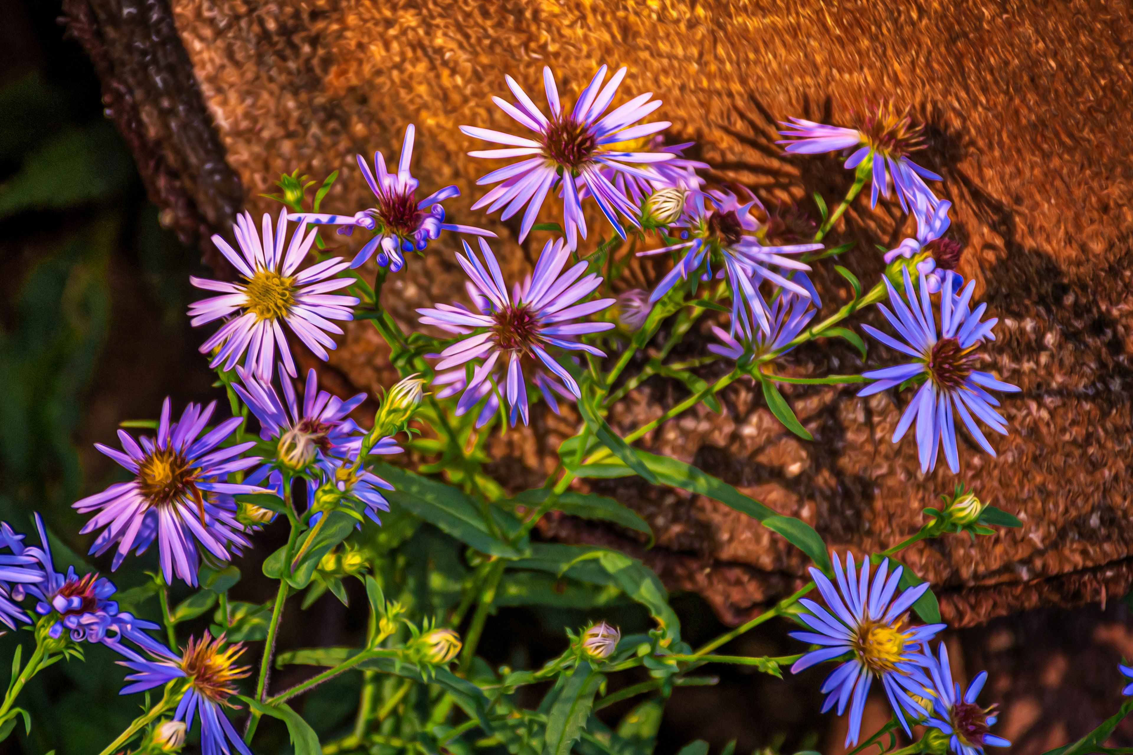 Sunlit Weeds by Log