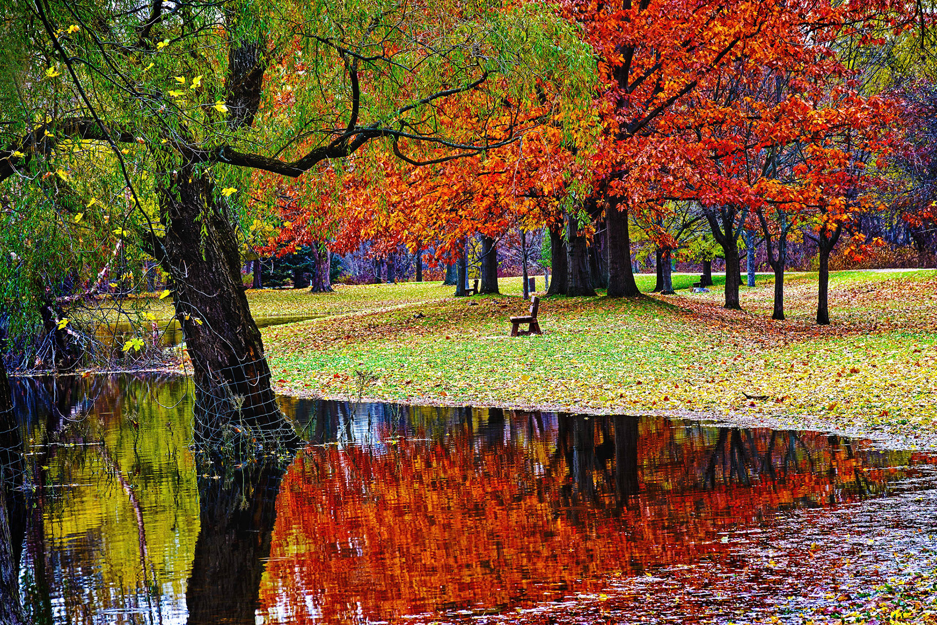 Empty Bench Just For You