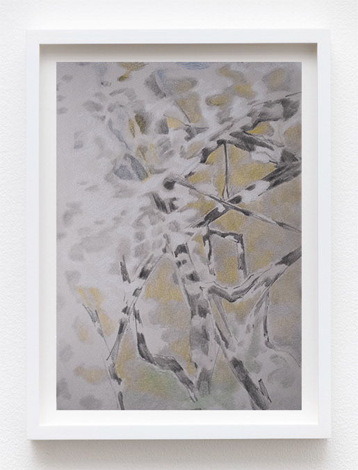 Untitled, 2025, graphite and pastel on paper, 9 x 6 in