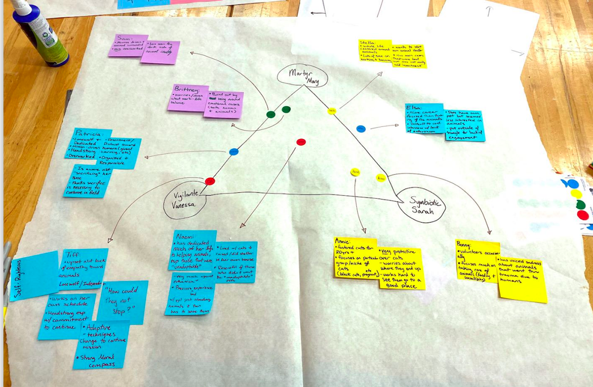 Persona Mapping