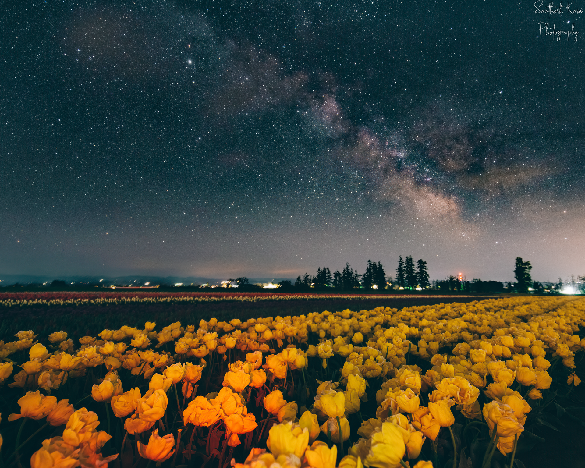 Milky way from a Tulip field in OR