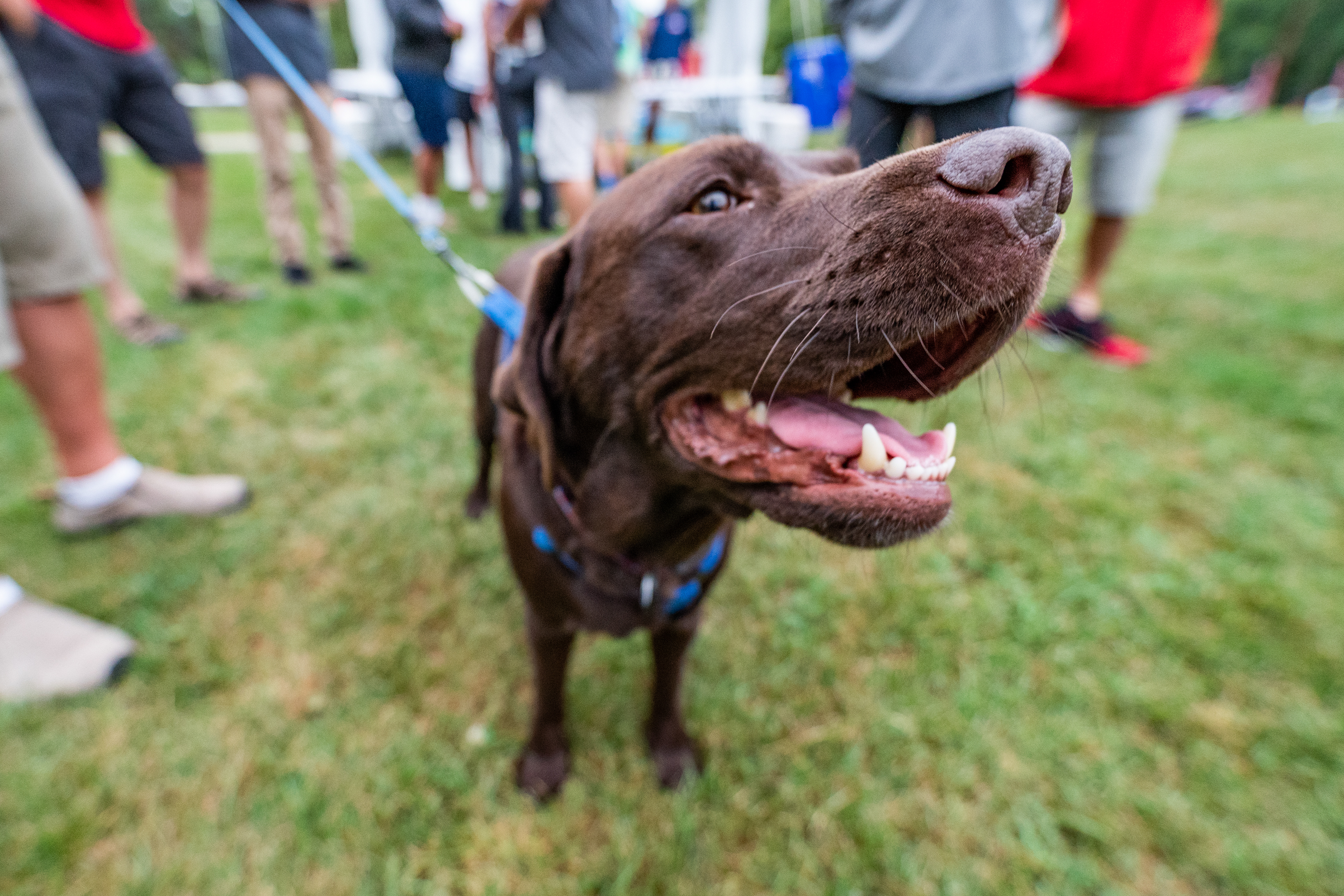 2023 E Scow National Championship