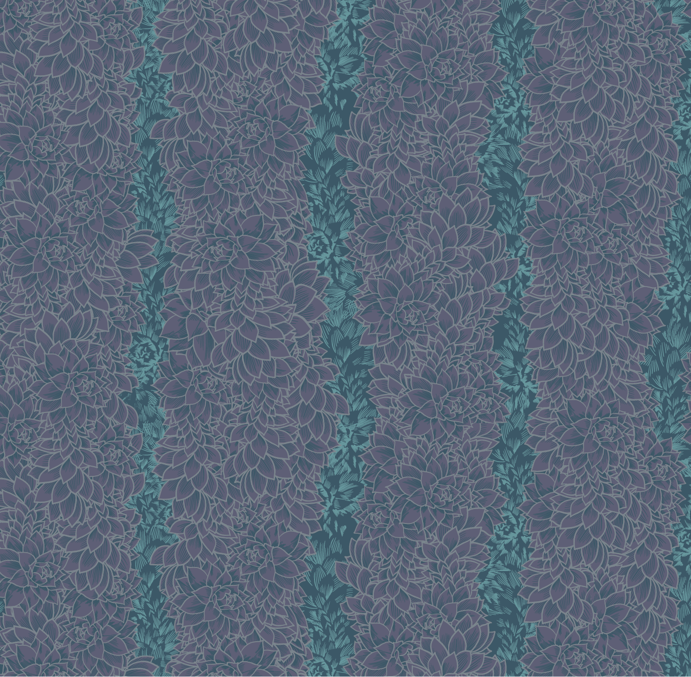 Euphorbia Stripe - Plum Wine