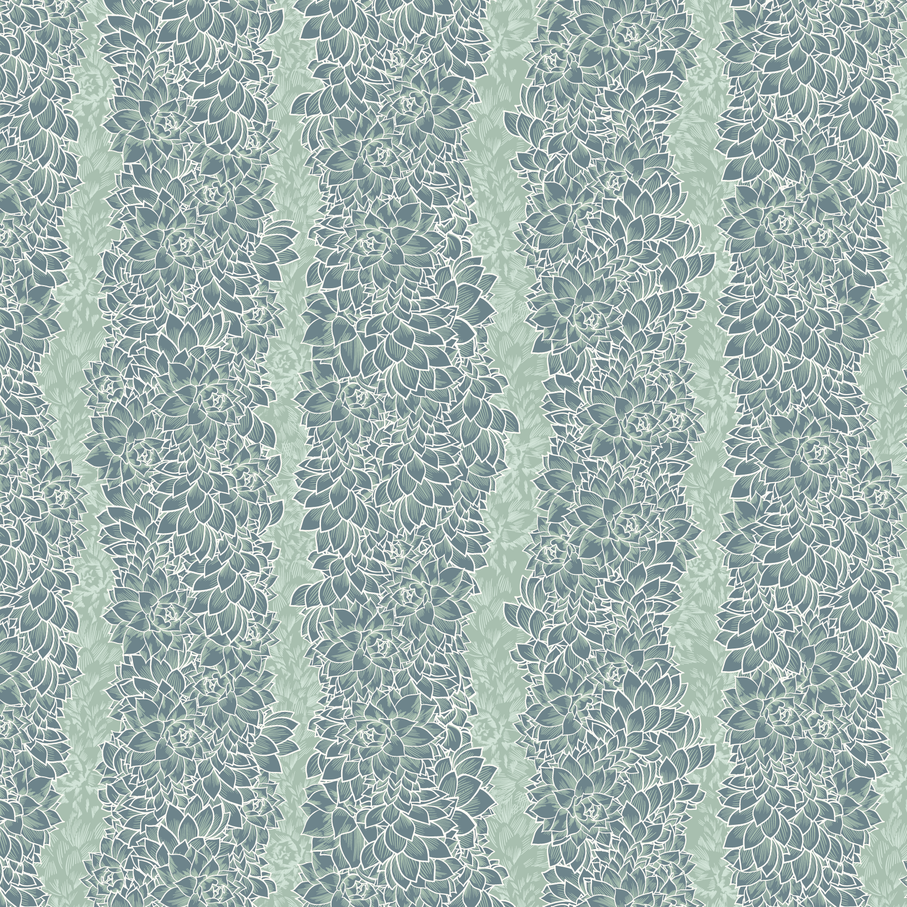 Euphorbia Stripe - Pink & Green