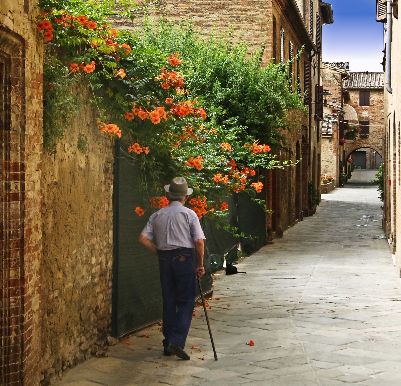 An old man on his morning stroll spots a black kitty. Buonconvento, Tuscany, Italy.