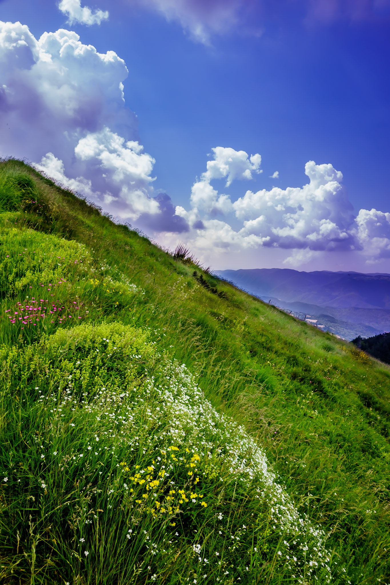 Hiking trail in the Apennine mountains